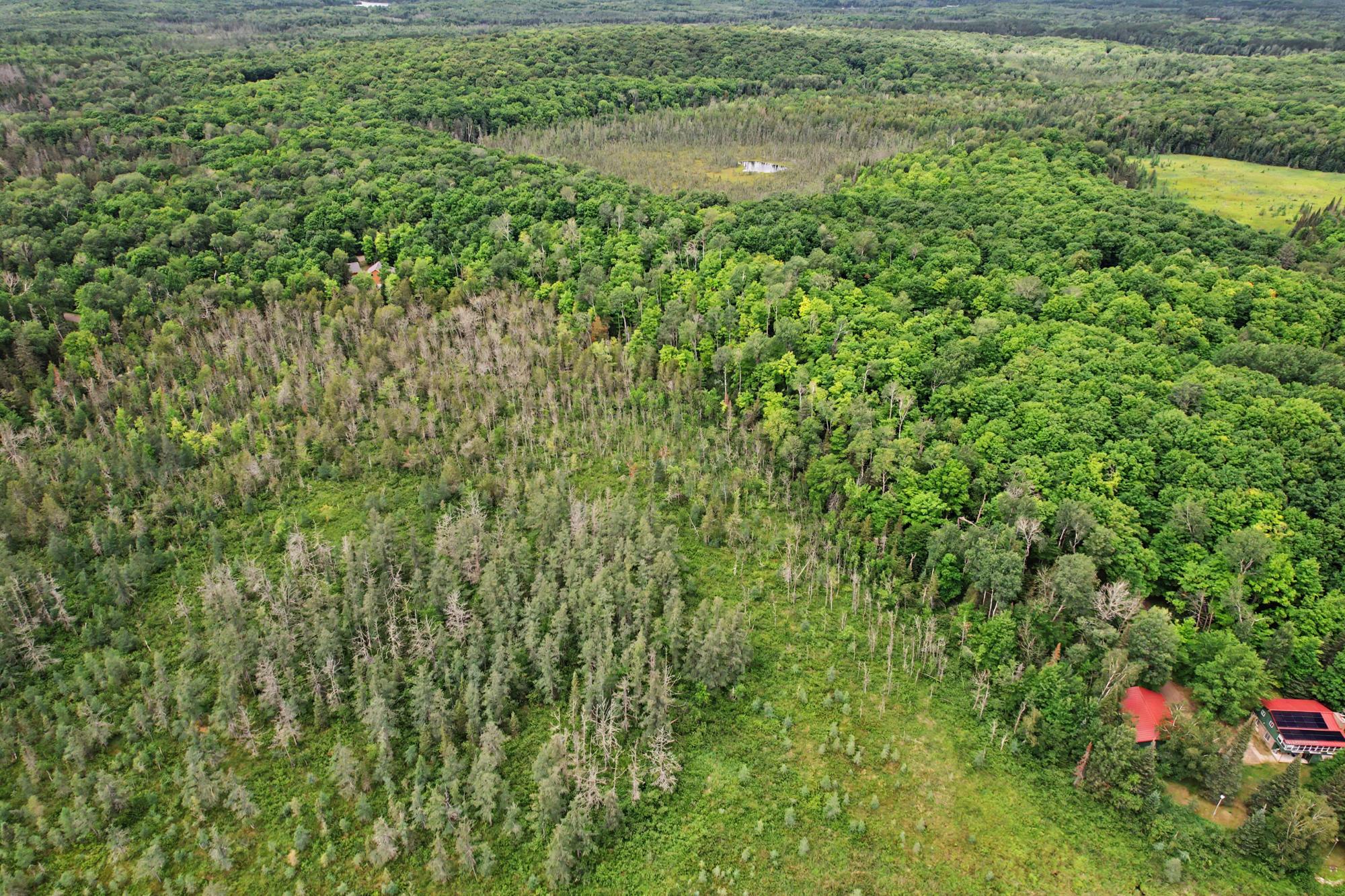 Morton Lake Property Lot off Bear Trl Photo 5