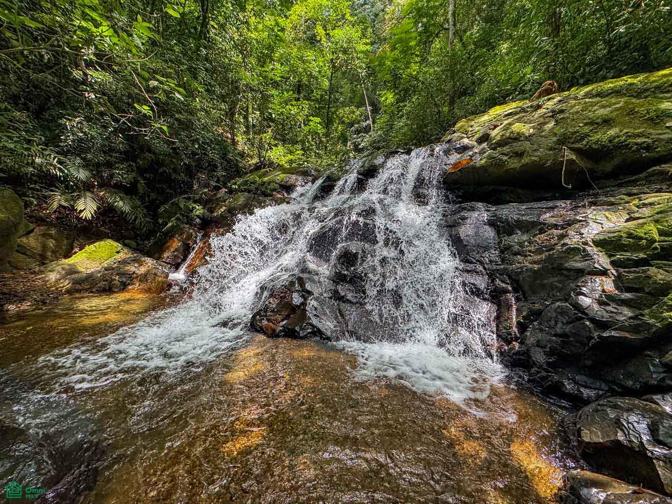  bed Land For Sale in Osa, Puntarenas - 1