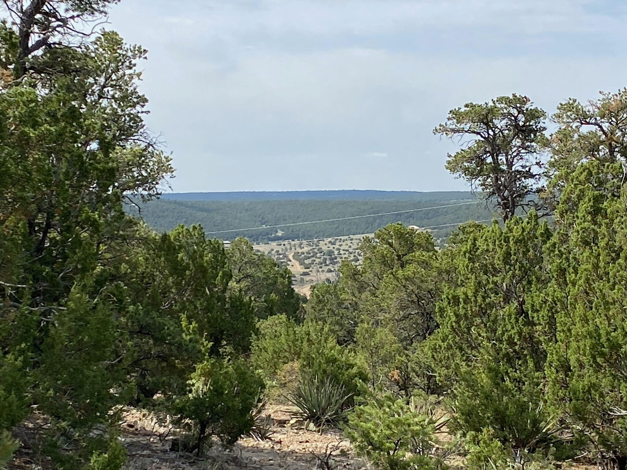 1st image of 5 Mormon Rd, Edgewood, NM 87015 | MLS# 1106575