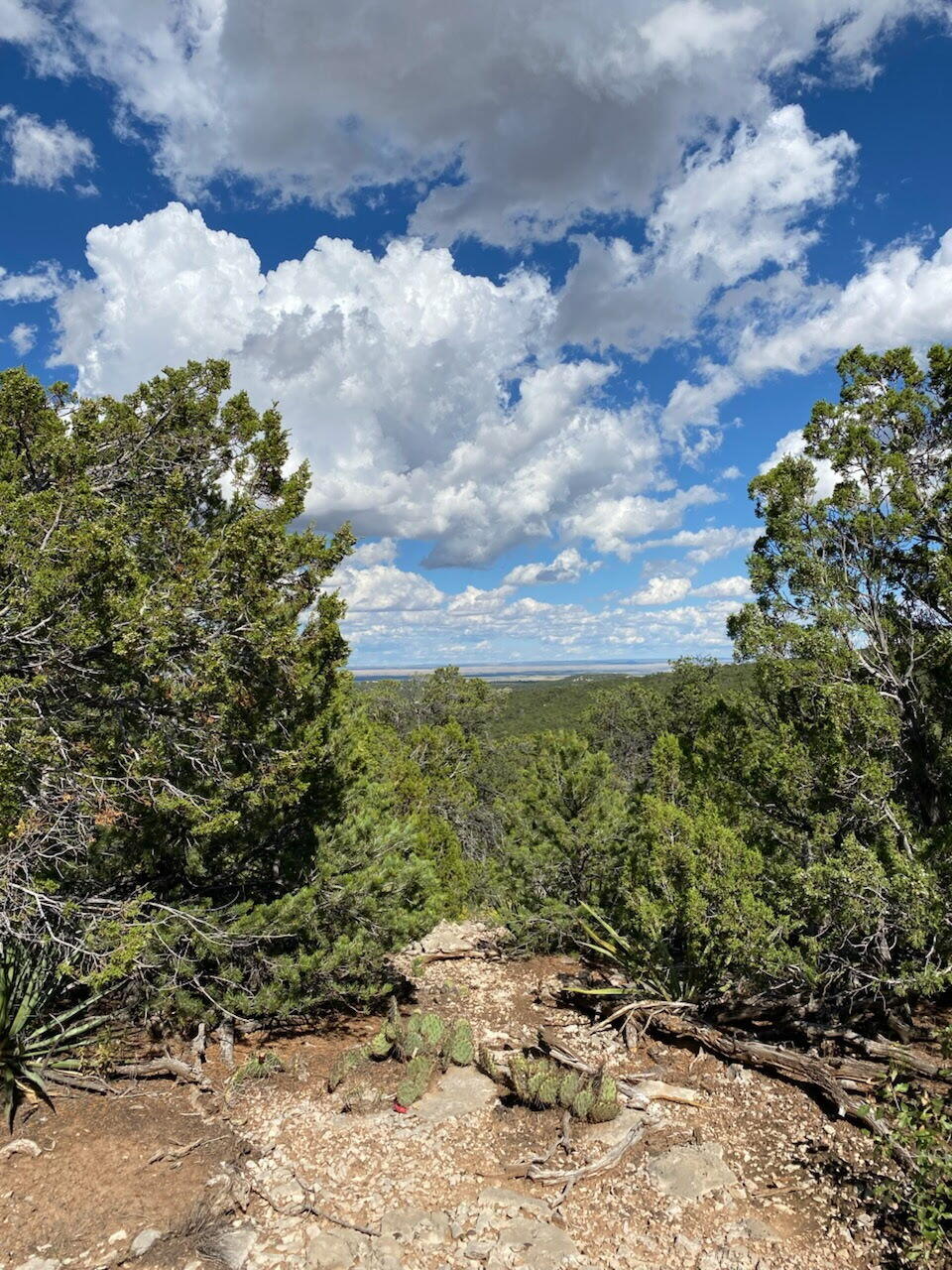 2nd image of 5 Mormon Rd, Edgewood, NM 87015 | MLS# 1106575