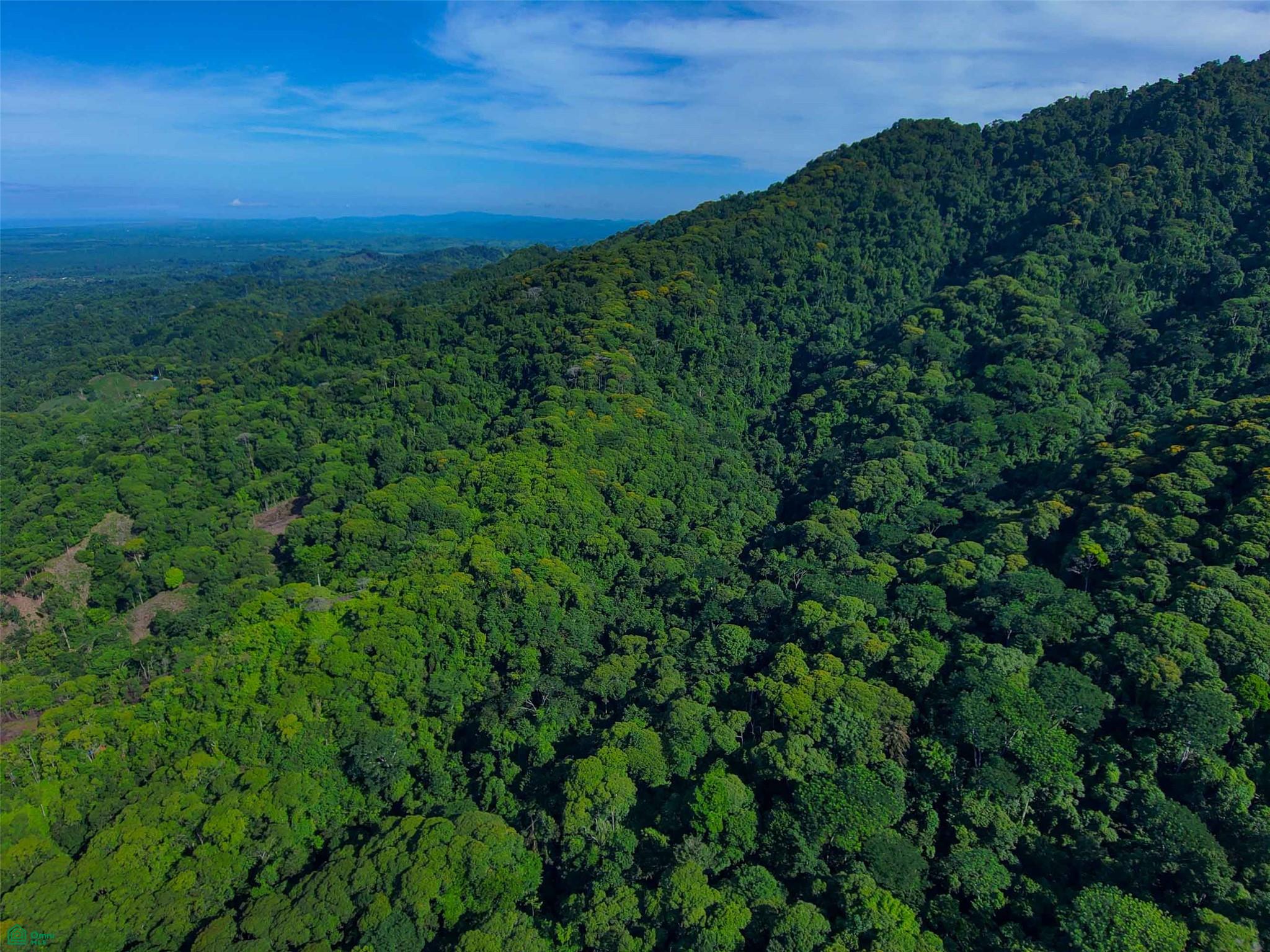  bed Land For Sale in , Puntarenas - 1
