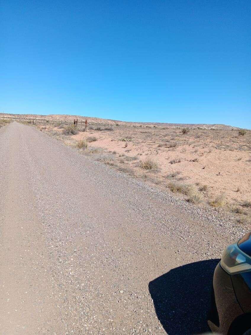 Photo 11 —  Canyon Drive