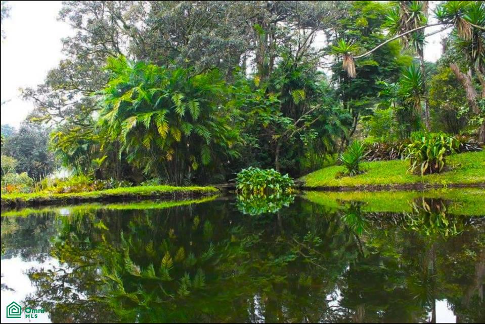 0 bed Land For Sale in San Rafael, Heredia - 1
