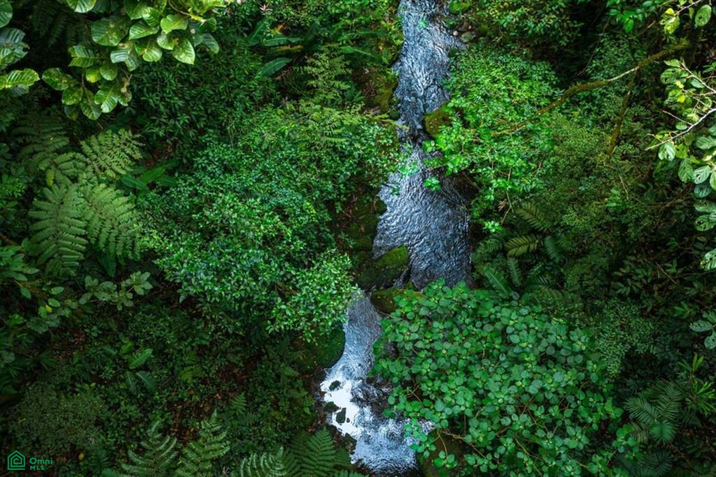 0 bed Land For Sale in San Ramón, Alajuela - 1