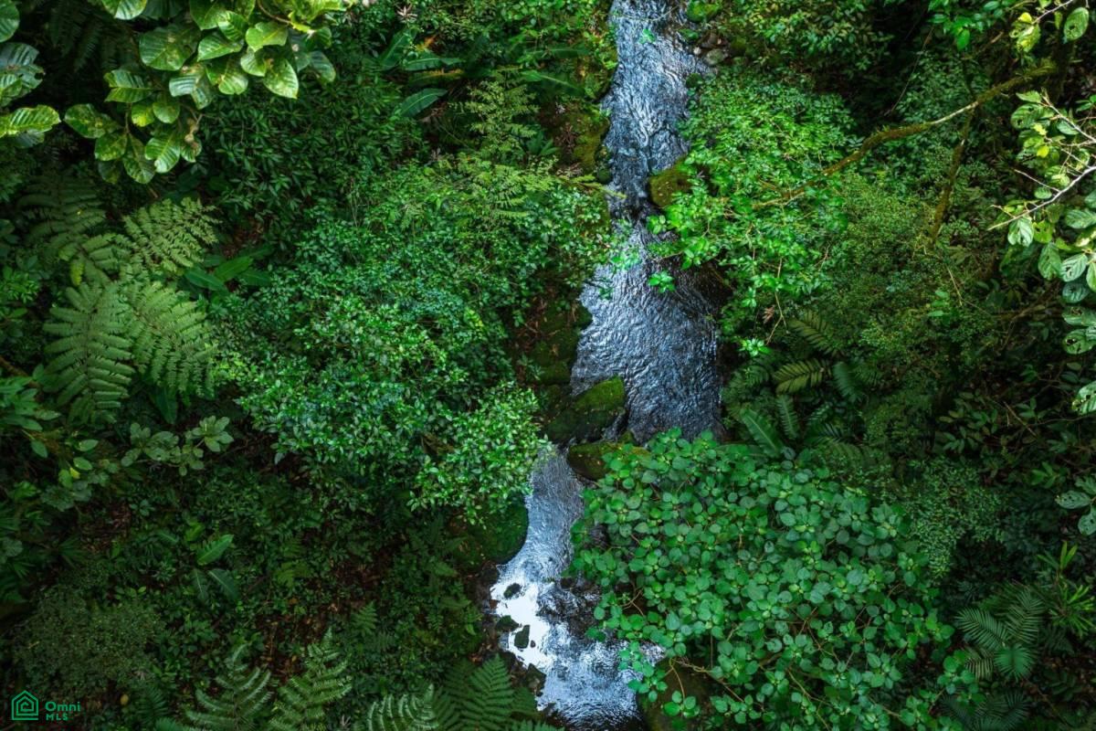 0 bed Land For Sale in San Ramón, Alajuela - 1