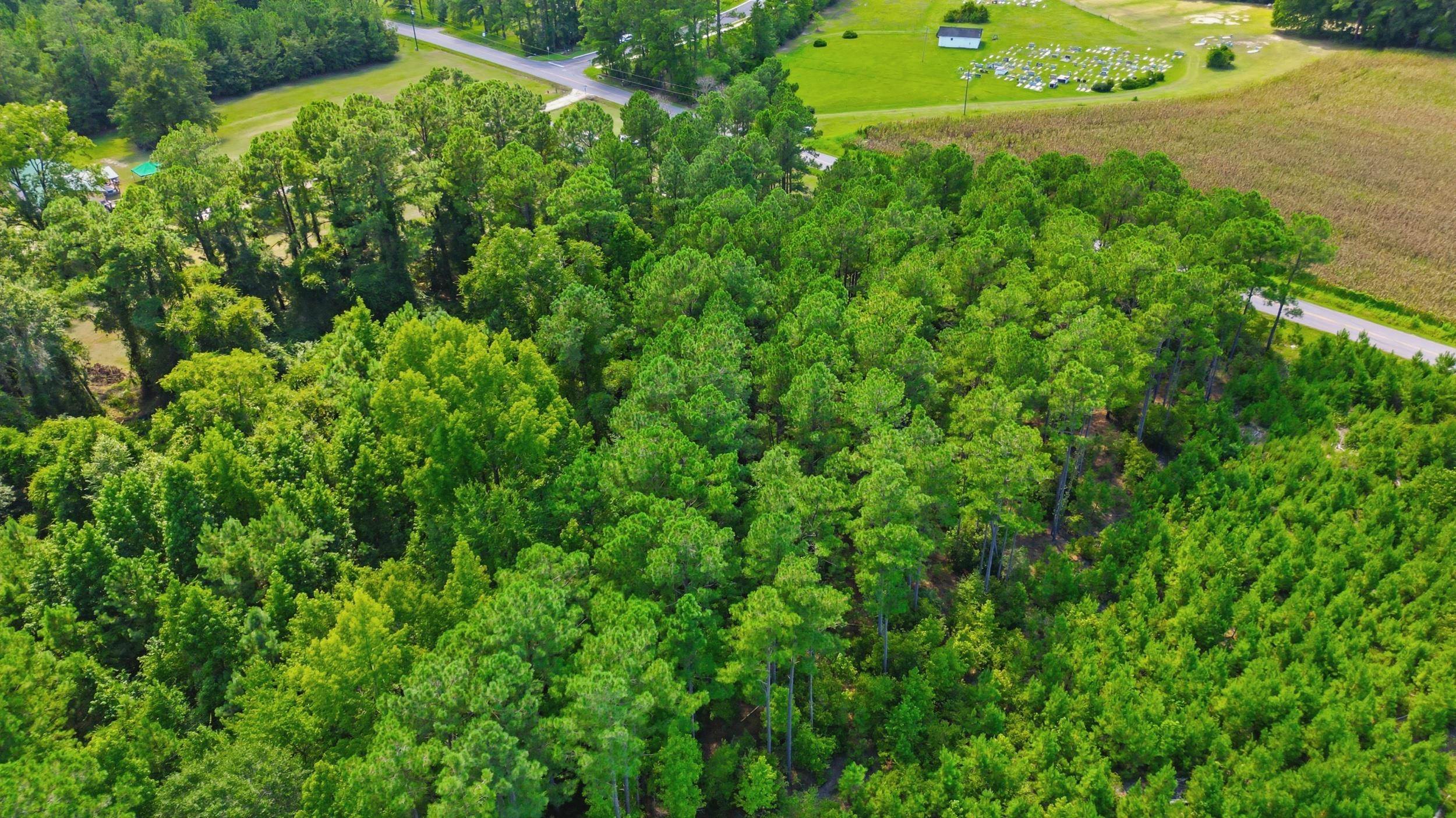 2nd image of Tbd Flag Patch Rd, Loris, SC 29569 | MLS# 2617193