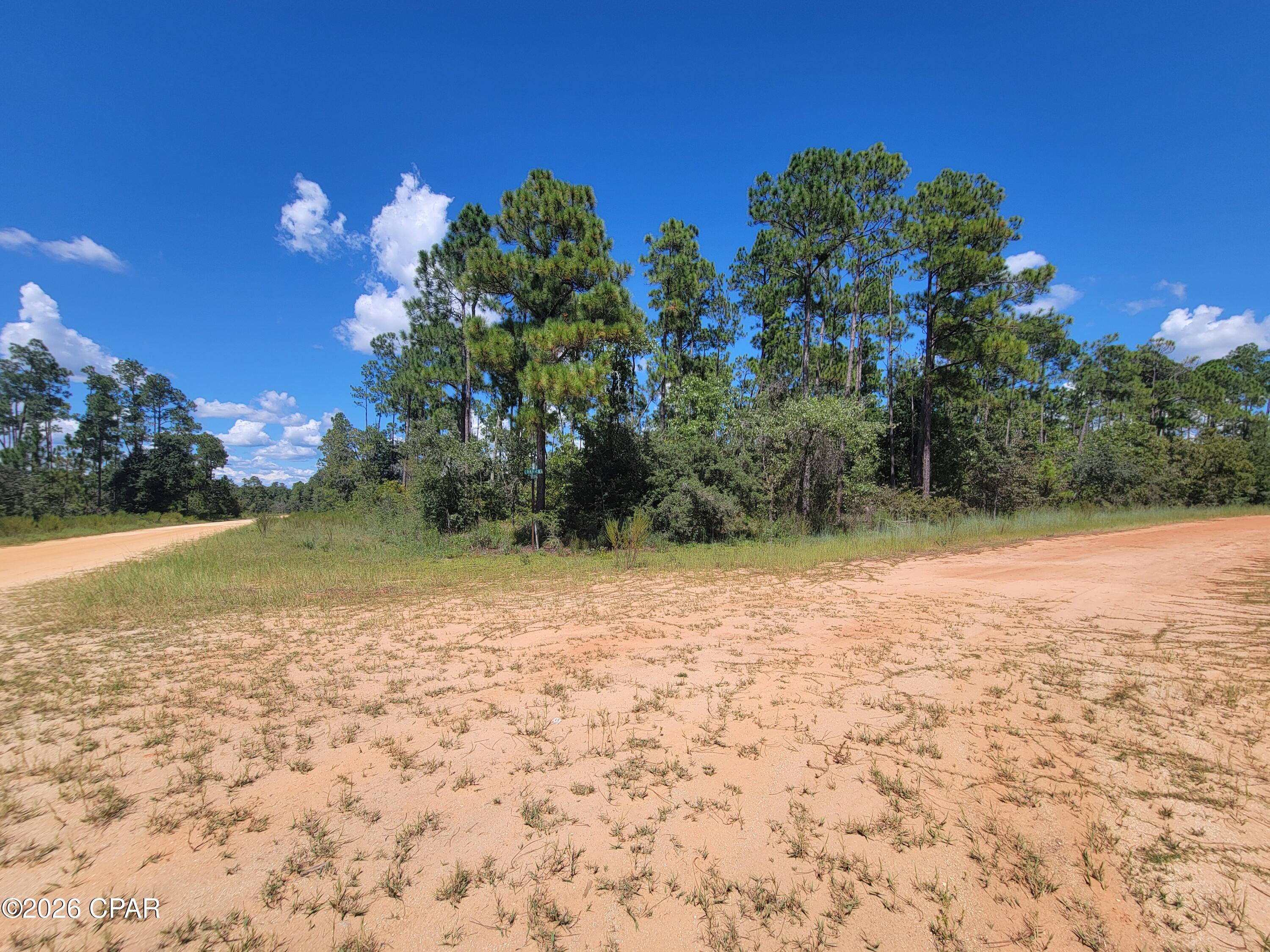 0 Cormick Circle, Alford, FL 32420