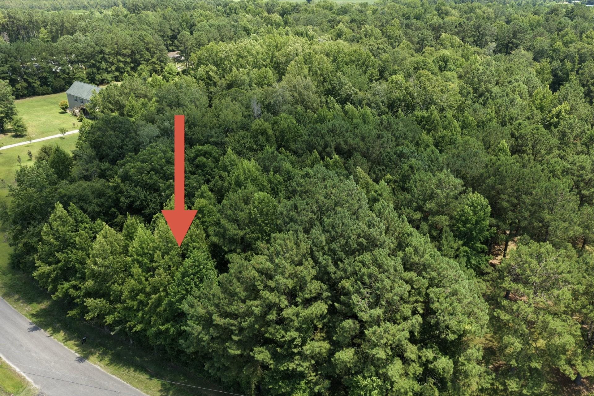 Homes for sale in Green Sea, SC | Tbd Church Rd, Green Sea, SC 29545 | MLS# 2617299