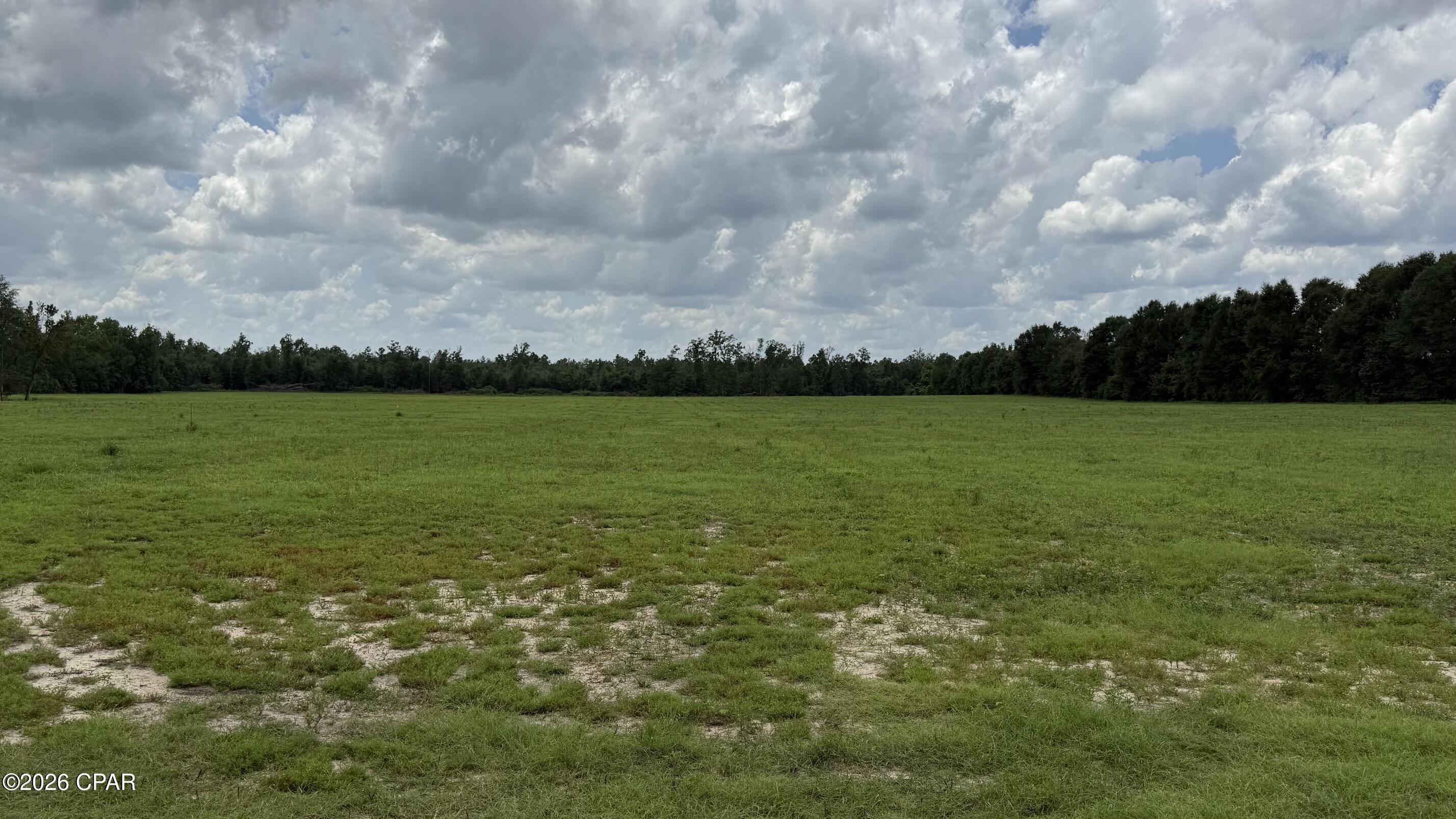 Photo 2 of Land for sale at 0 E Delta Ln, Marianna, FL 32448 | MLS# 792458 | Listing updated on 2026-09-21