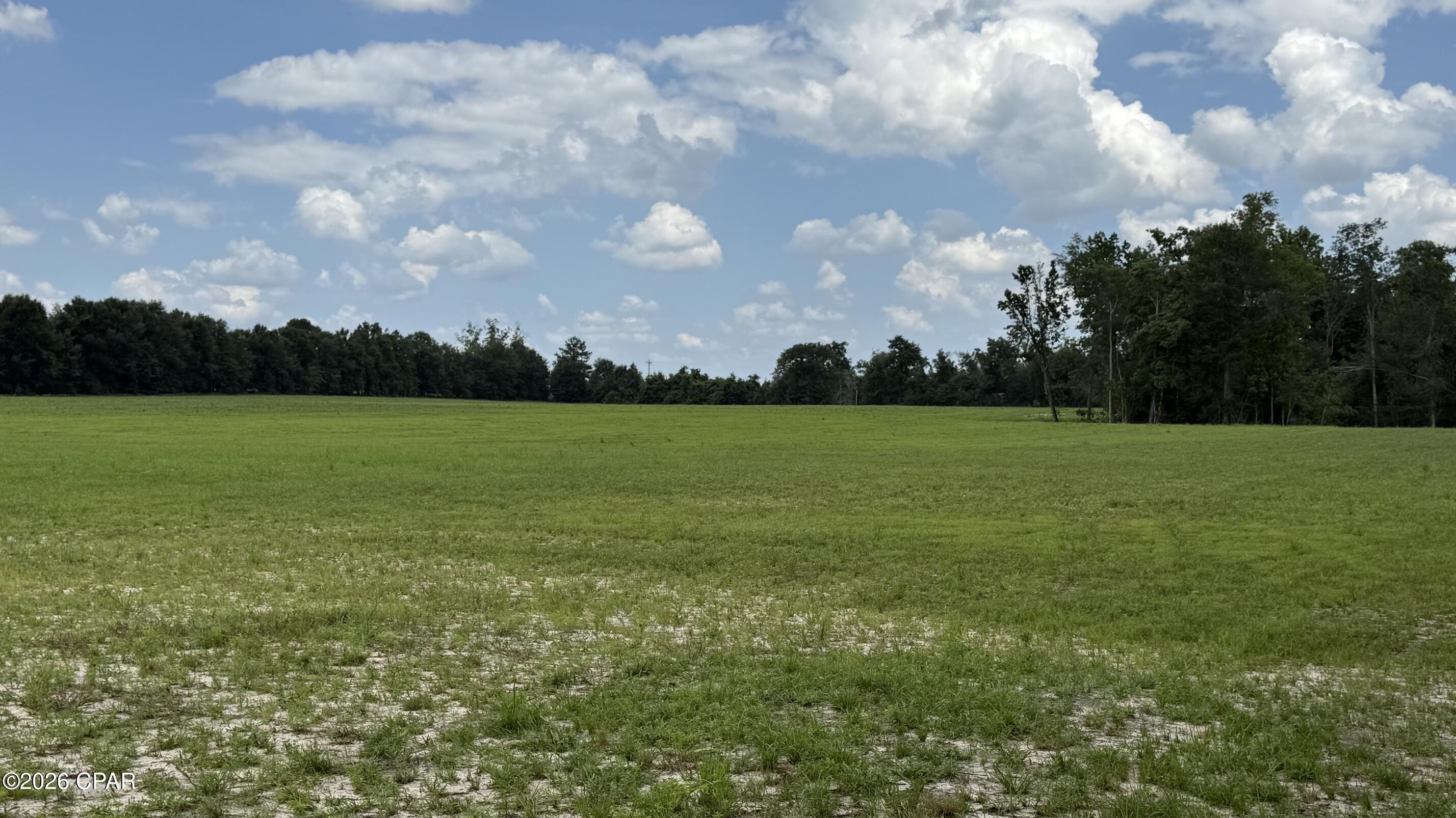 Photo 3 of Land for sale at 0 E Delta Ln, Marianna, FL 32448 | MLS# 792458 | Listing updated on 2026-09-21