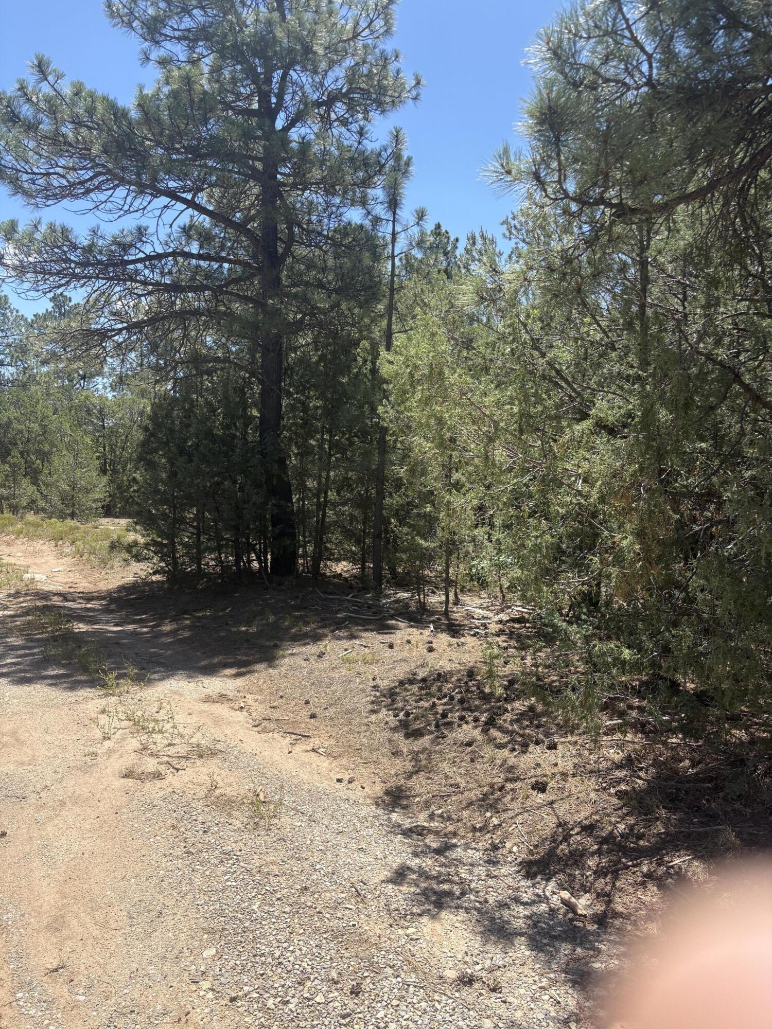 31 Armin Road Tijeras, NM 87059