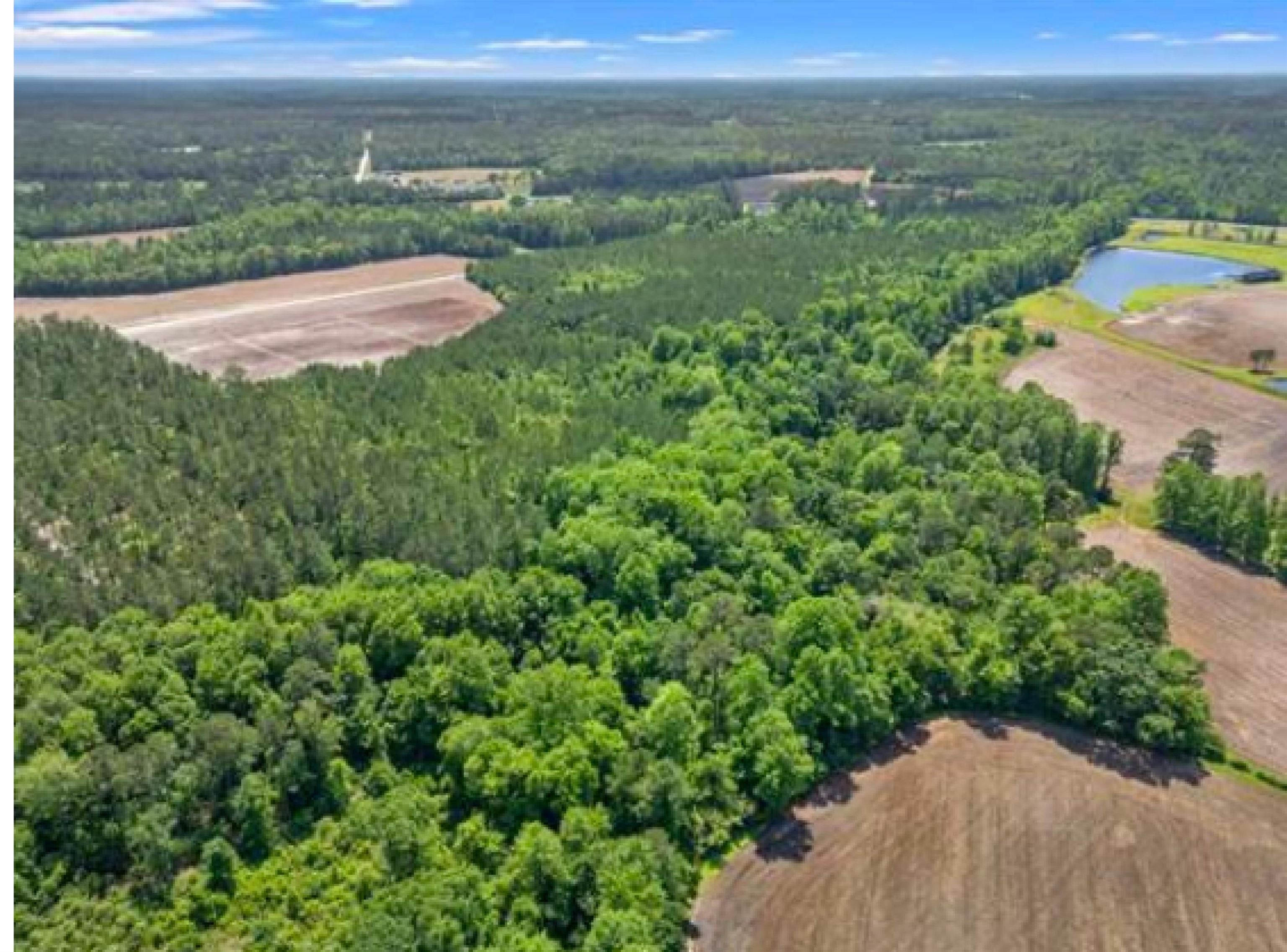 TBD Daisy Rd. Loris, SC 29569