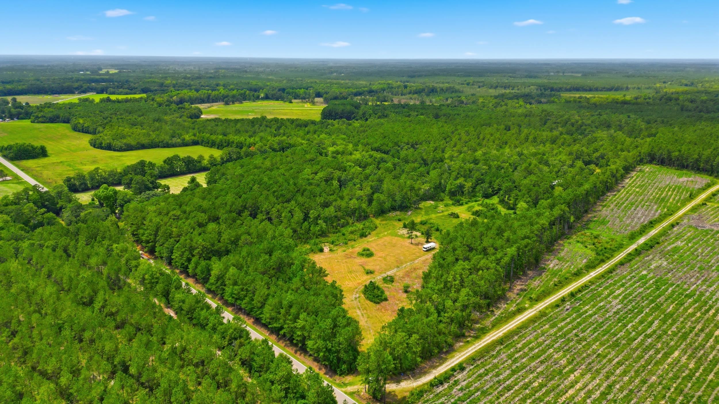 TBD Williams Hill Rd. Hemingway, SC 29554