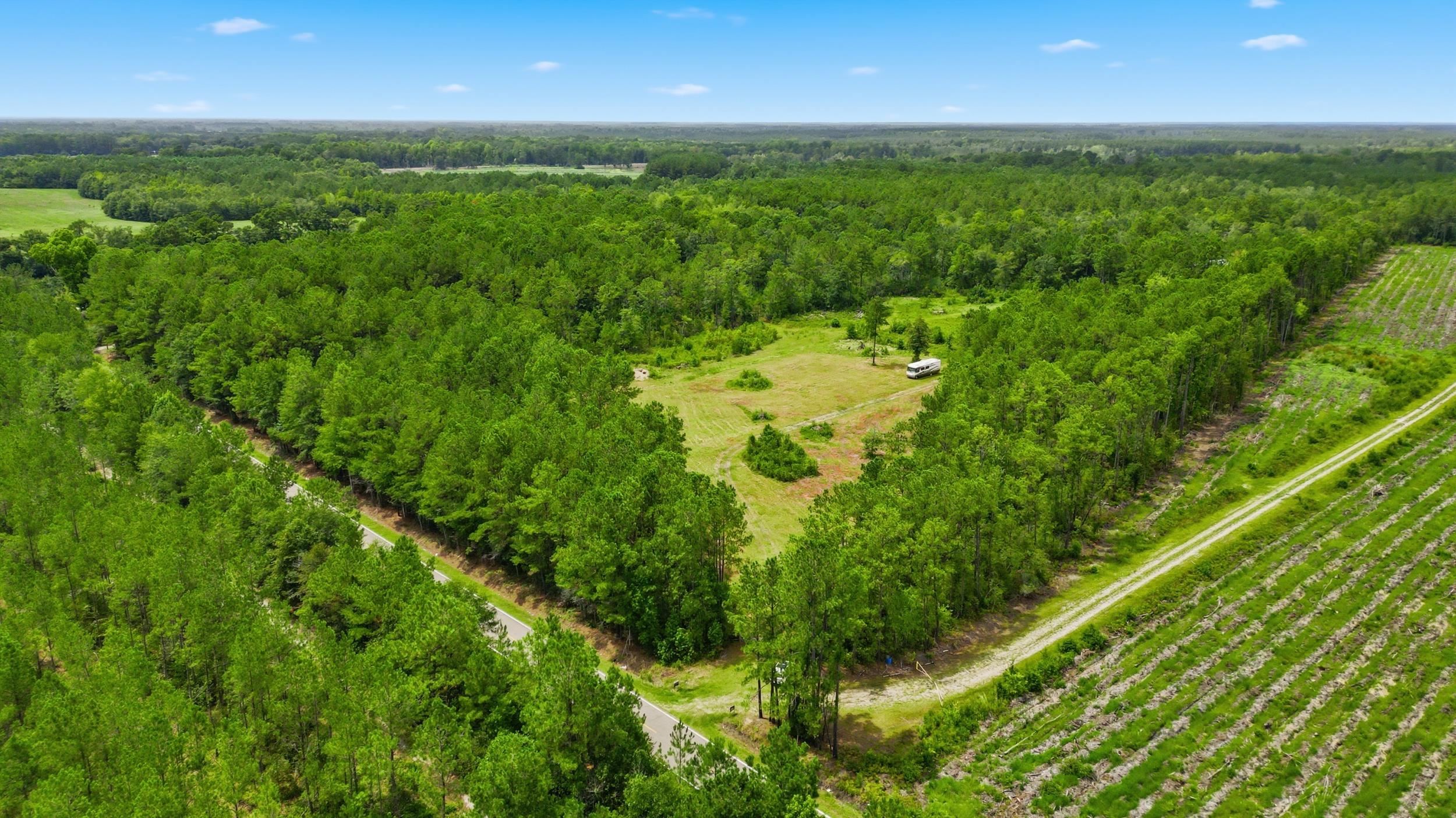 Photo 4 of Land for sale at Tbd Williams Hl Rd, Hemingway, SC 29554 | MLS# 2617596 | Listing updated on 2026-10-08