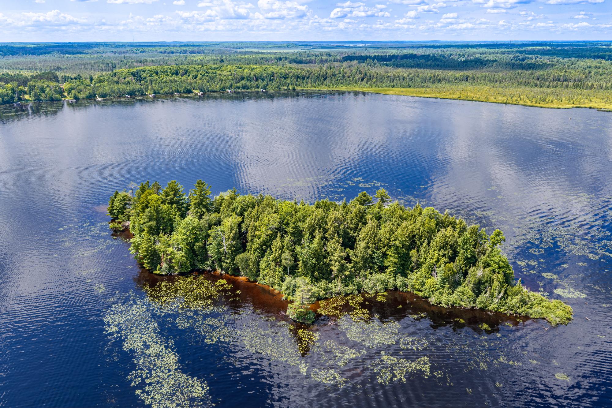 Big Lake Property TL-641 Big Lake Loop Rd Photo 11