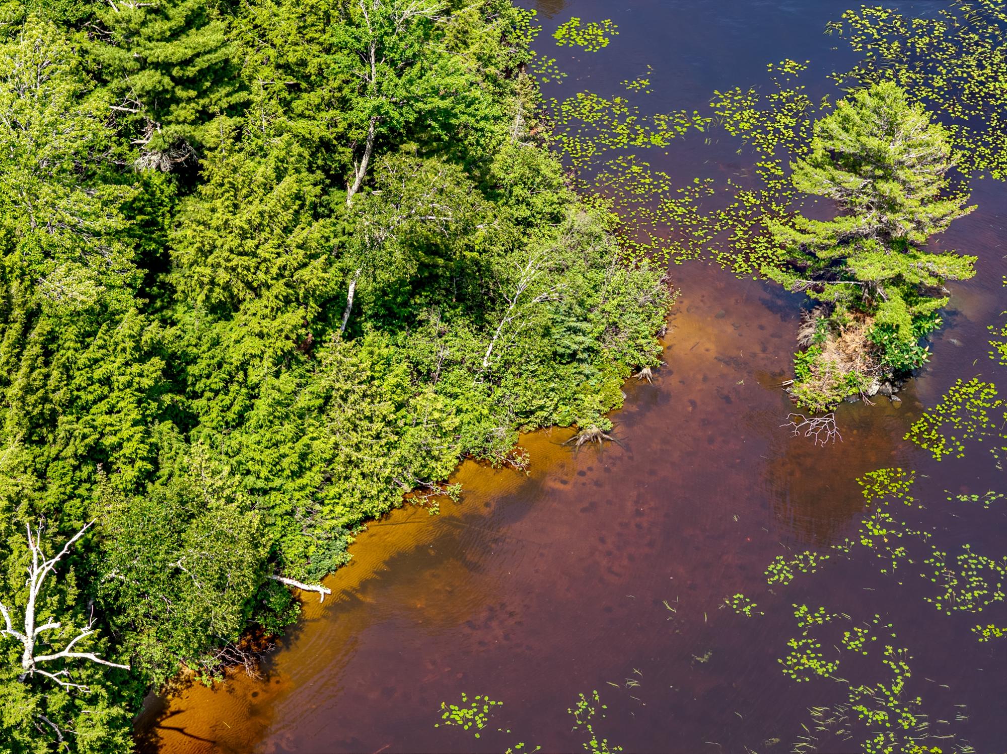 Big Lake Property TL-641 Big Lake Loop Rd Photo 14