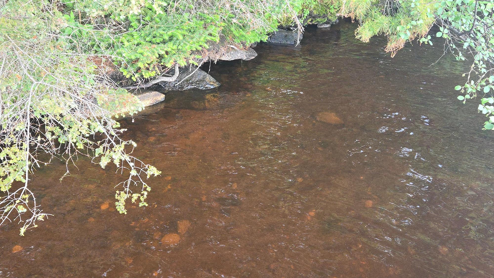 Big Lake Property TL-641 Big Lake Loop Rd Photo 26