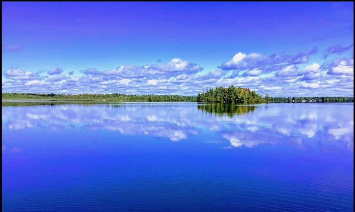 Big Lake Property TL-641 Big Lake Loop Rd Photo 3