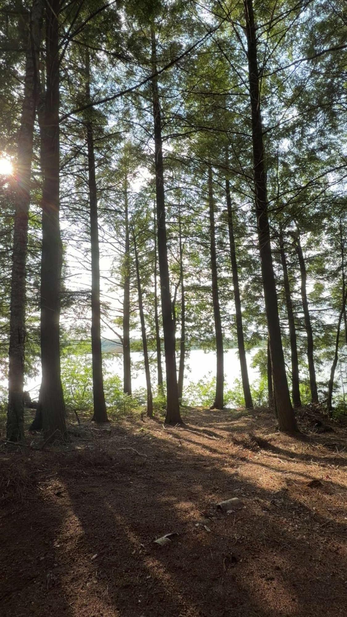 Big Lake Property TL-641 Big Lake Loop Rd Photo 9