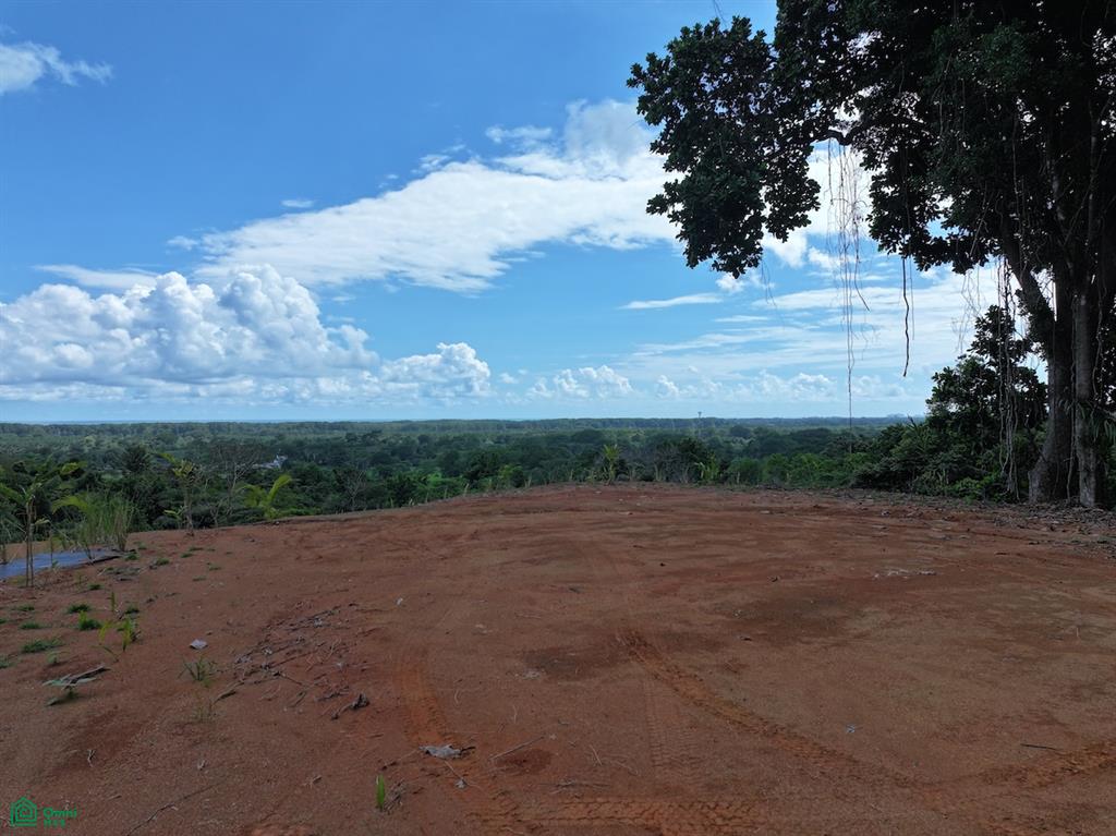 0 bed Land For Sale in Osa, Puntarenas - 1