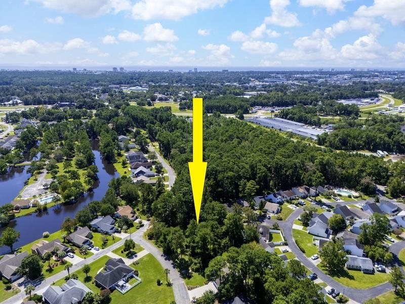2617672 | Photo 4