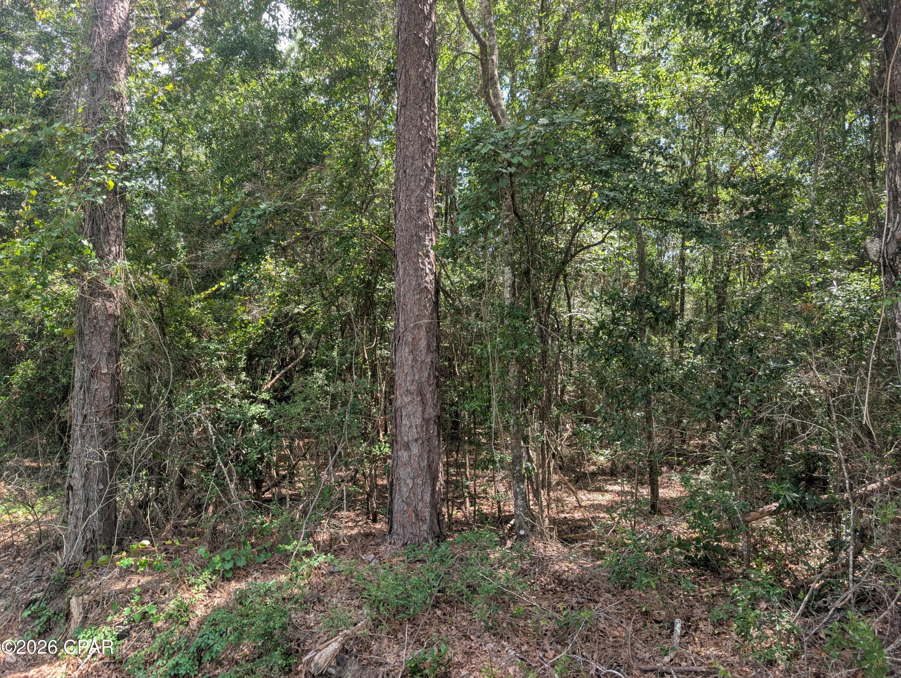 1st image of Tbd Marian Dr, Bonifay, FL 32425 | MLS# 792674
