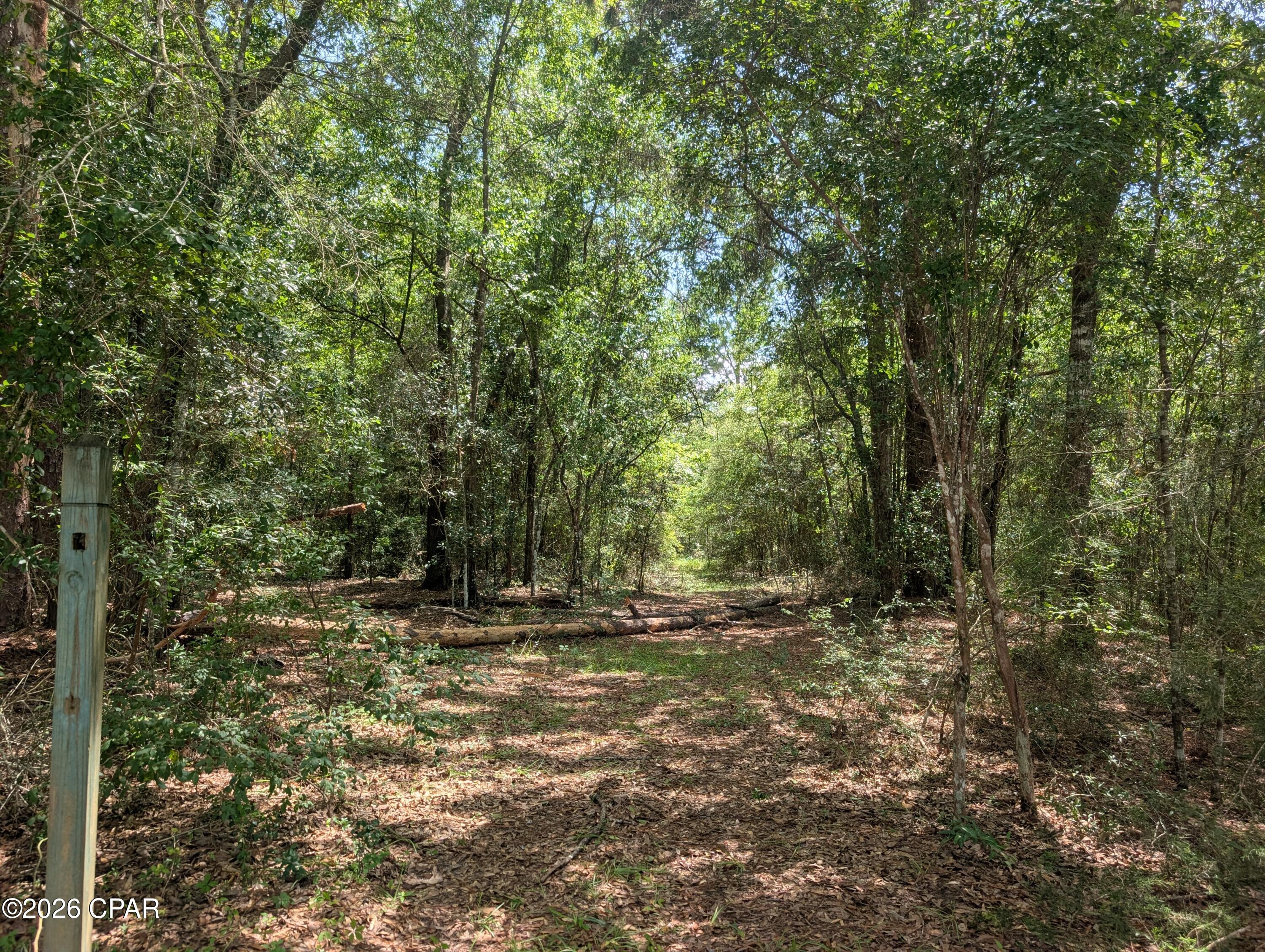 3rd image of Tbd Marian Dr, Bonifay, FL 32425 | MLS# 792674