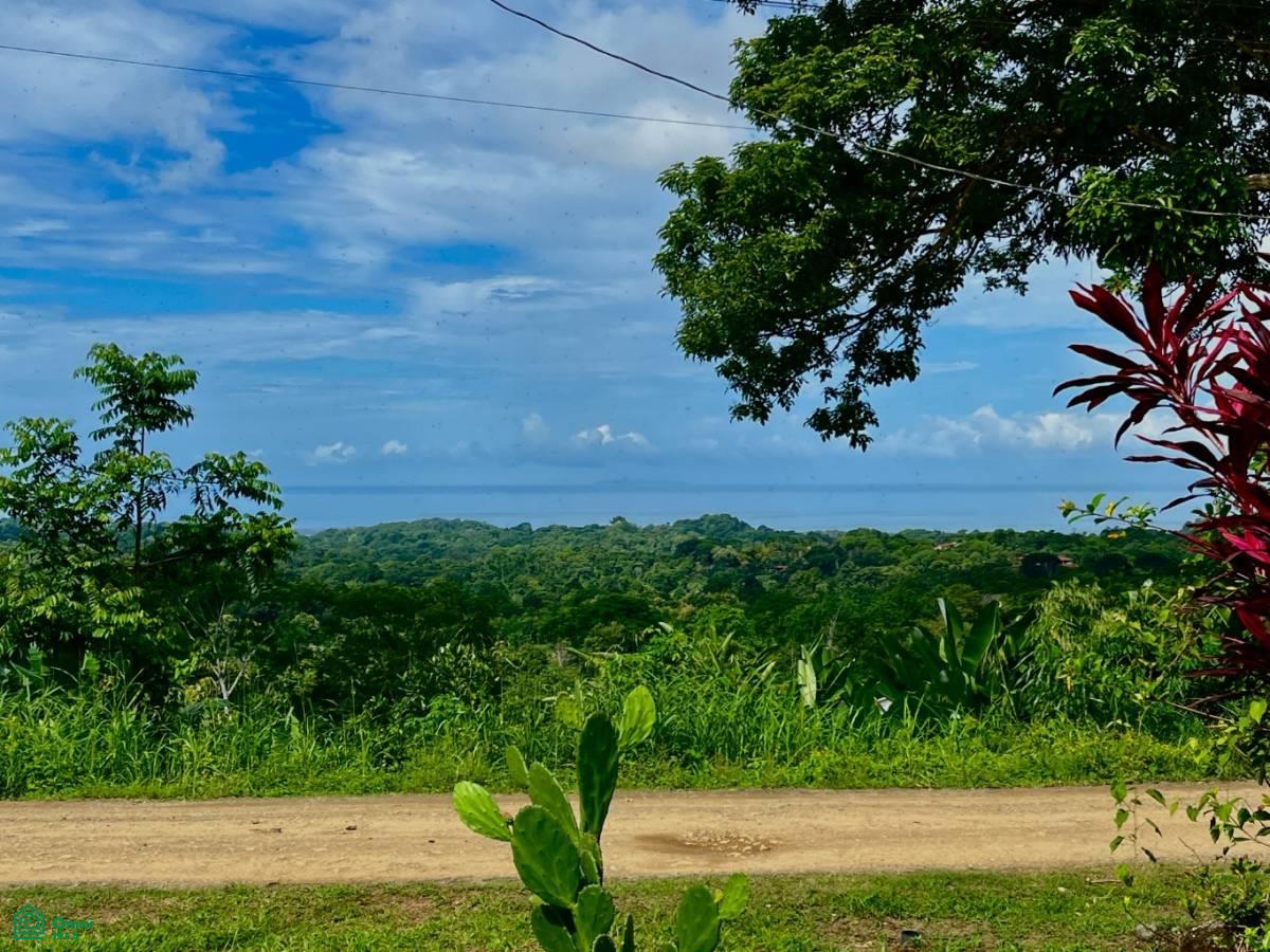 2 bed Single Family Homes For Sale in Osa, Puntarenas - 1