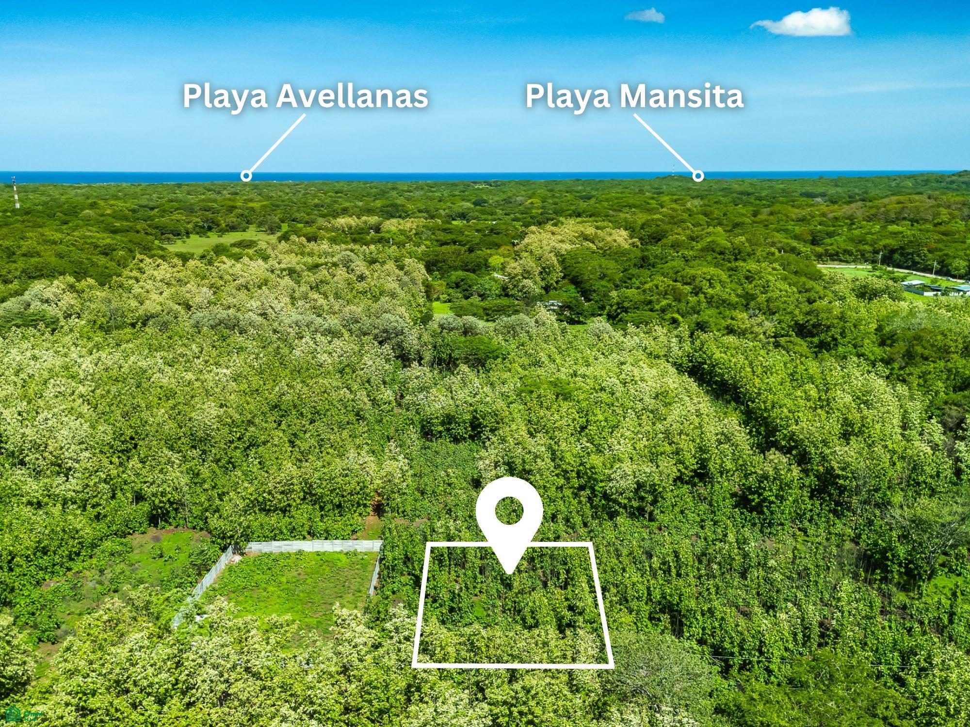  bed Land For Sale in Santa Cruz, Guanacaste - 1