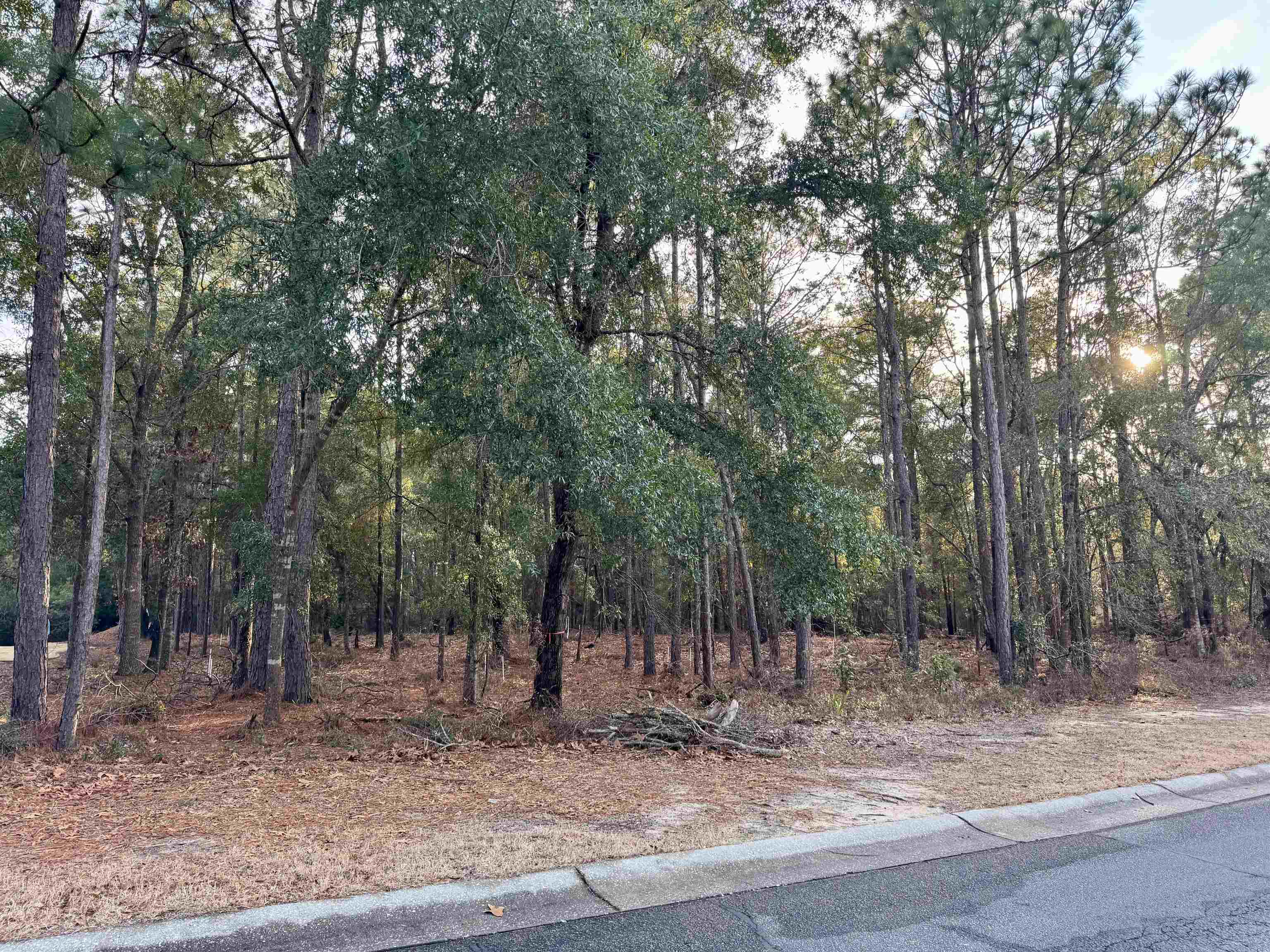 1st image of Lot 63 Preservation Circle, Pawleys Island, SC 29585 | MLS# 2617862
