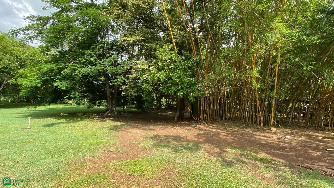  bed Land For Sale in Santa Cruz, Guanacaste - 1