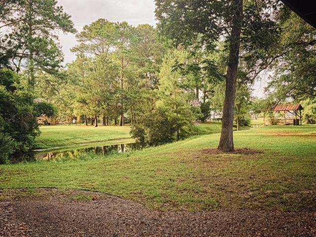 2617906 | Photo 37