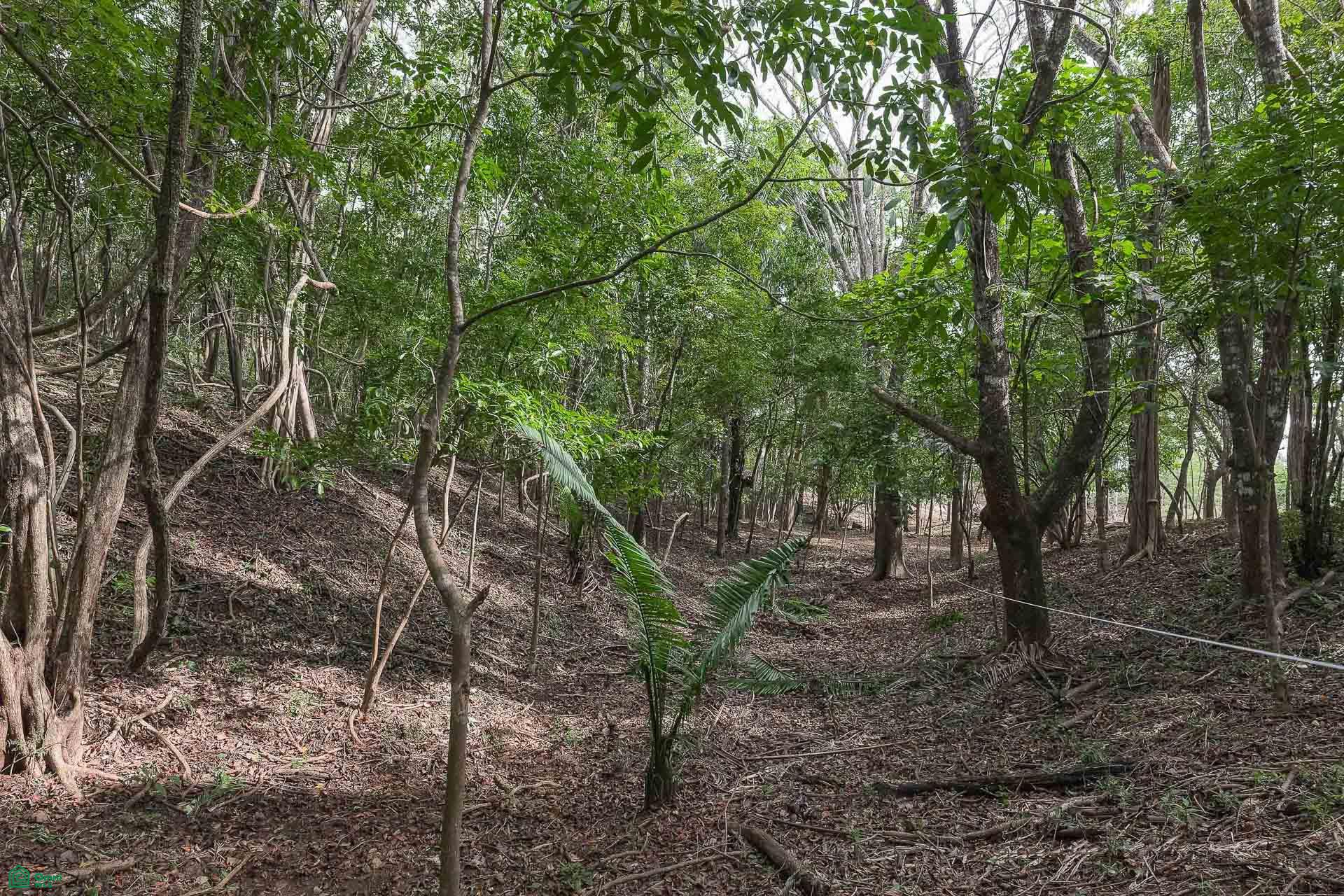  bed Land For Sale in Cuajiniquil, Guanacaste - 1