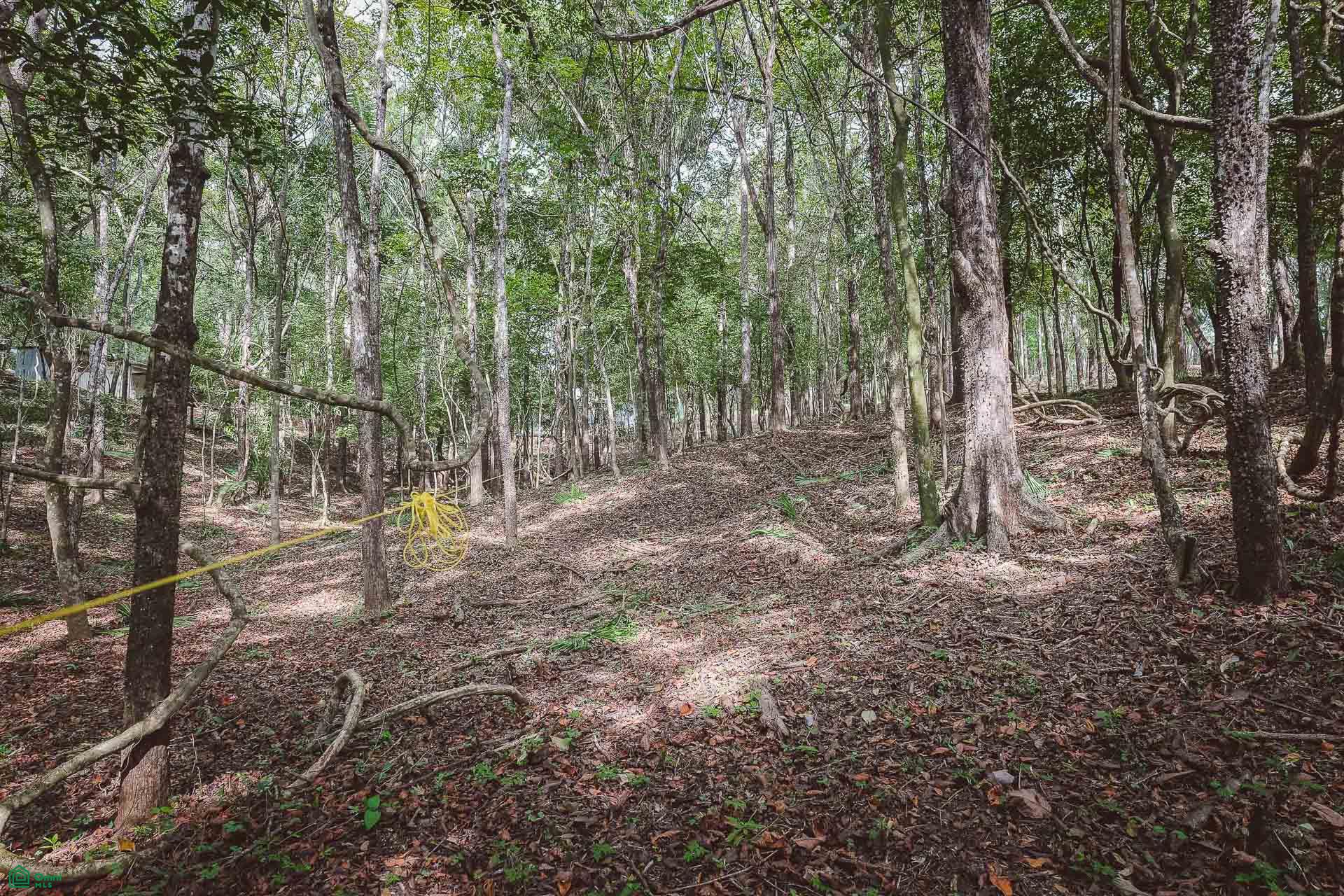  bed Land For Sale in Cuajiniquil, Guanacaste - 1