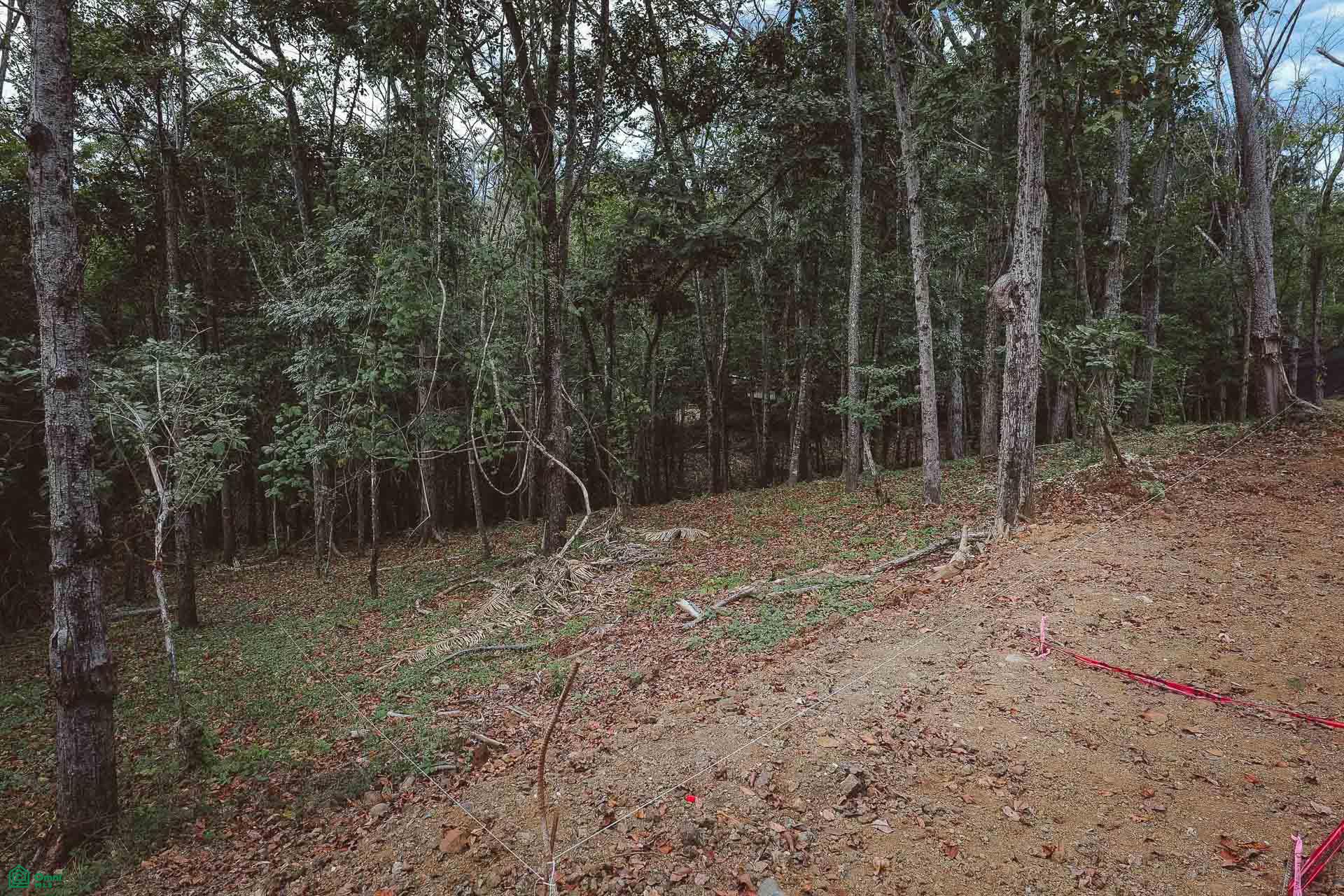  bed Land For Sale in Santa Cruz, Guanacaste - 1