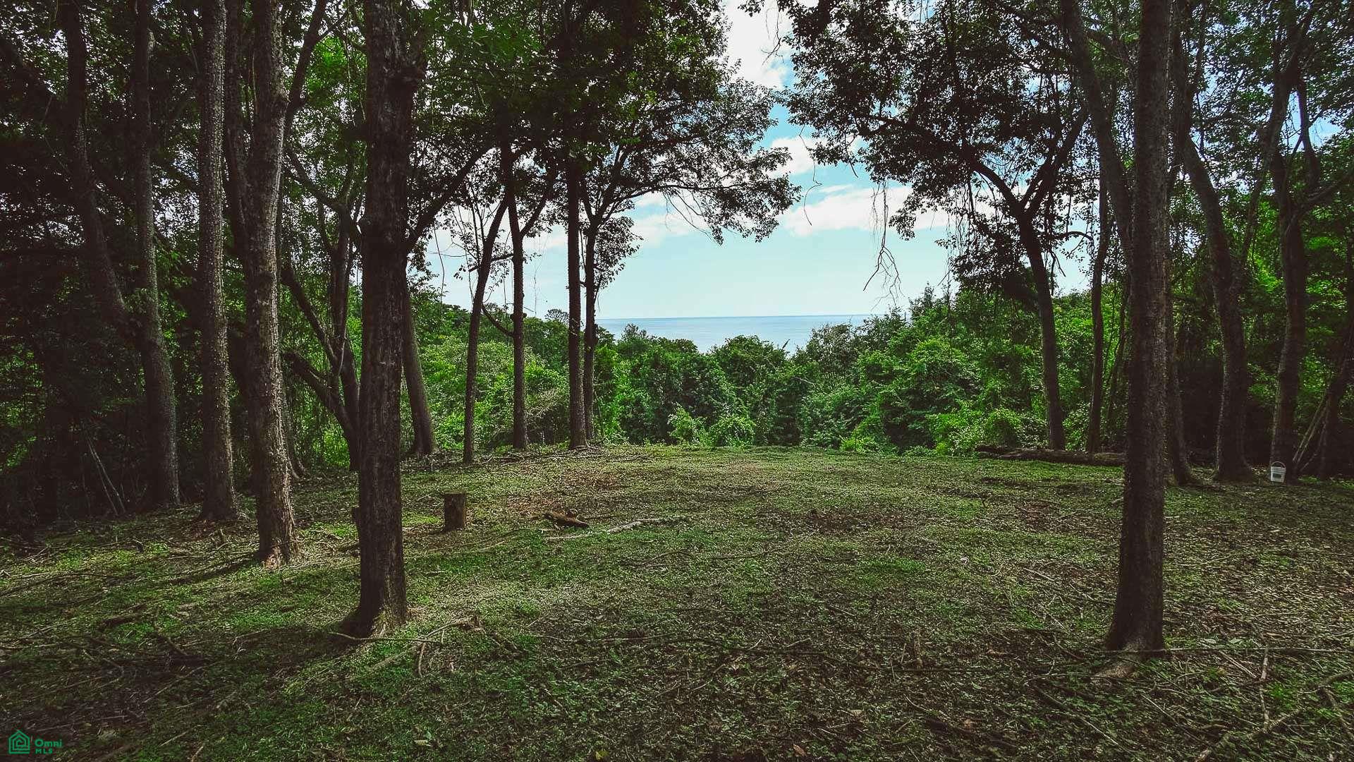  bed Land For Sale in Cuajiniquil, Guanacaste - 1