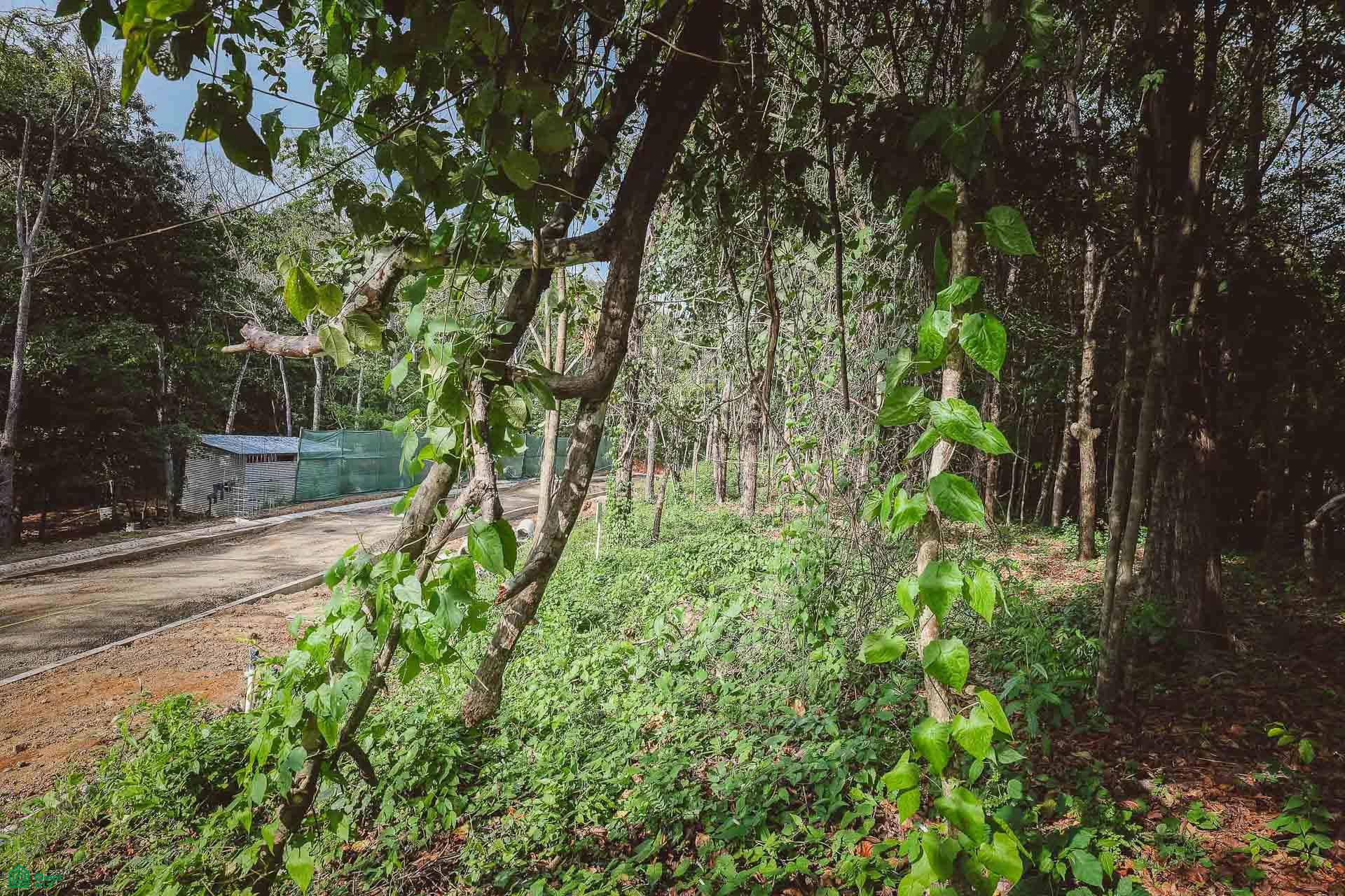  bed Land For Sale in Cuajiniquil, Guanacaste - 1