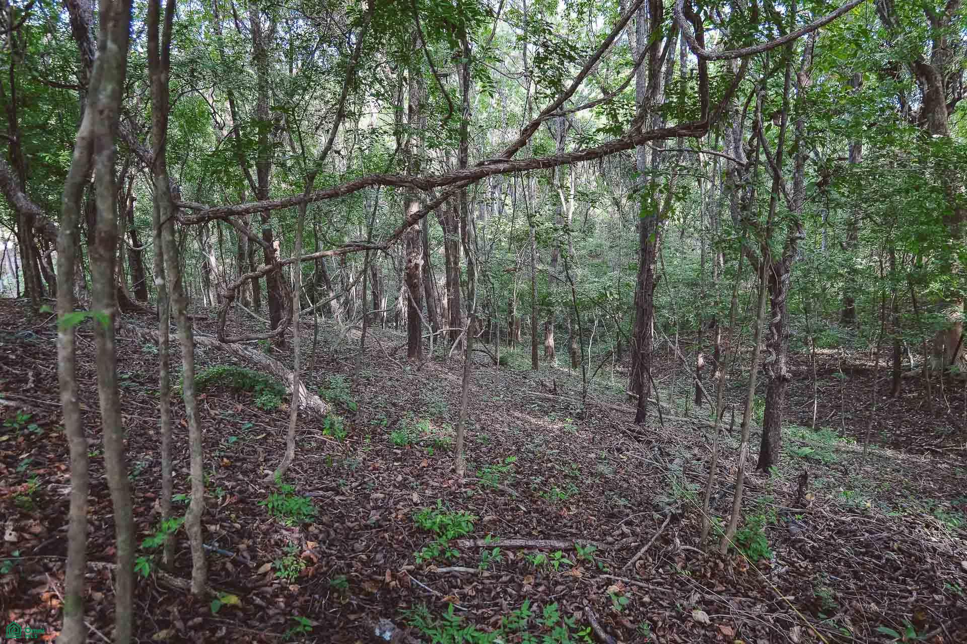  bed Land For Sale in Santa Cruz, Guanacaste - 1