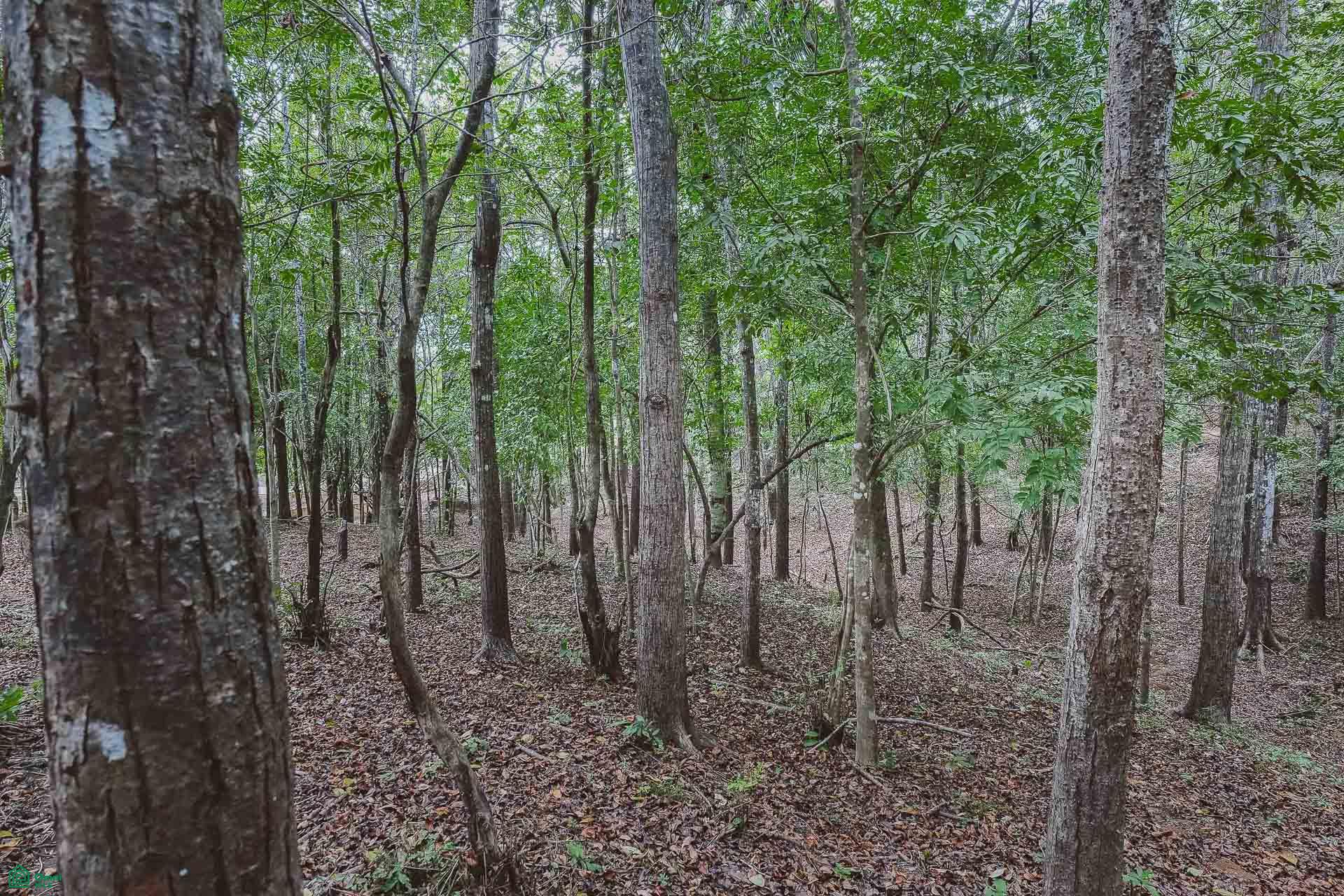  bed Land For Sale in Cuajiniquil, Guanacaste - 1