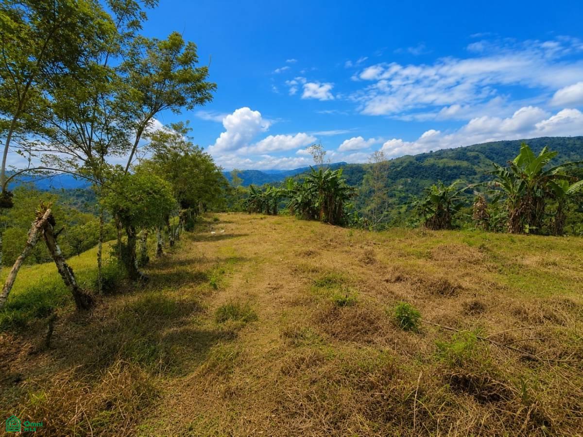0 bed Land For Sale in Turrialba, Cartago - 1
