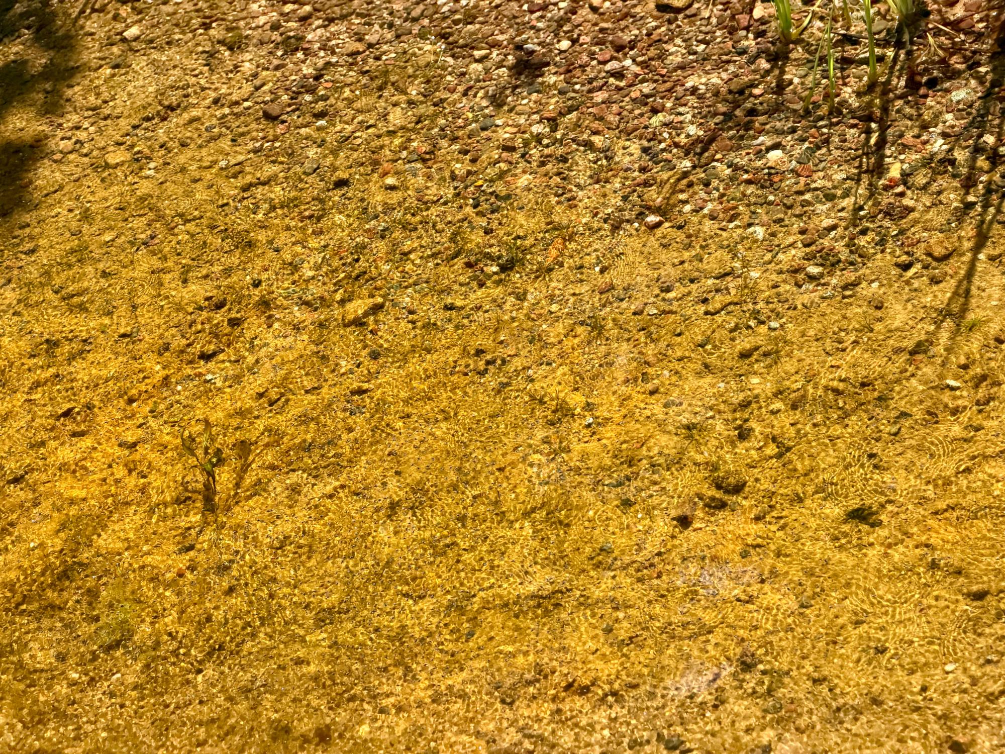Cochran Lake (LDF) Property 16265 Cys Dr Photo 6