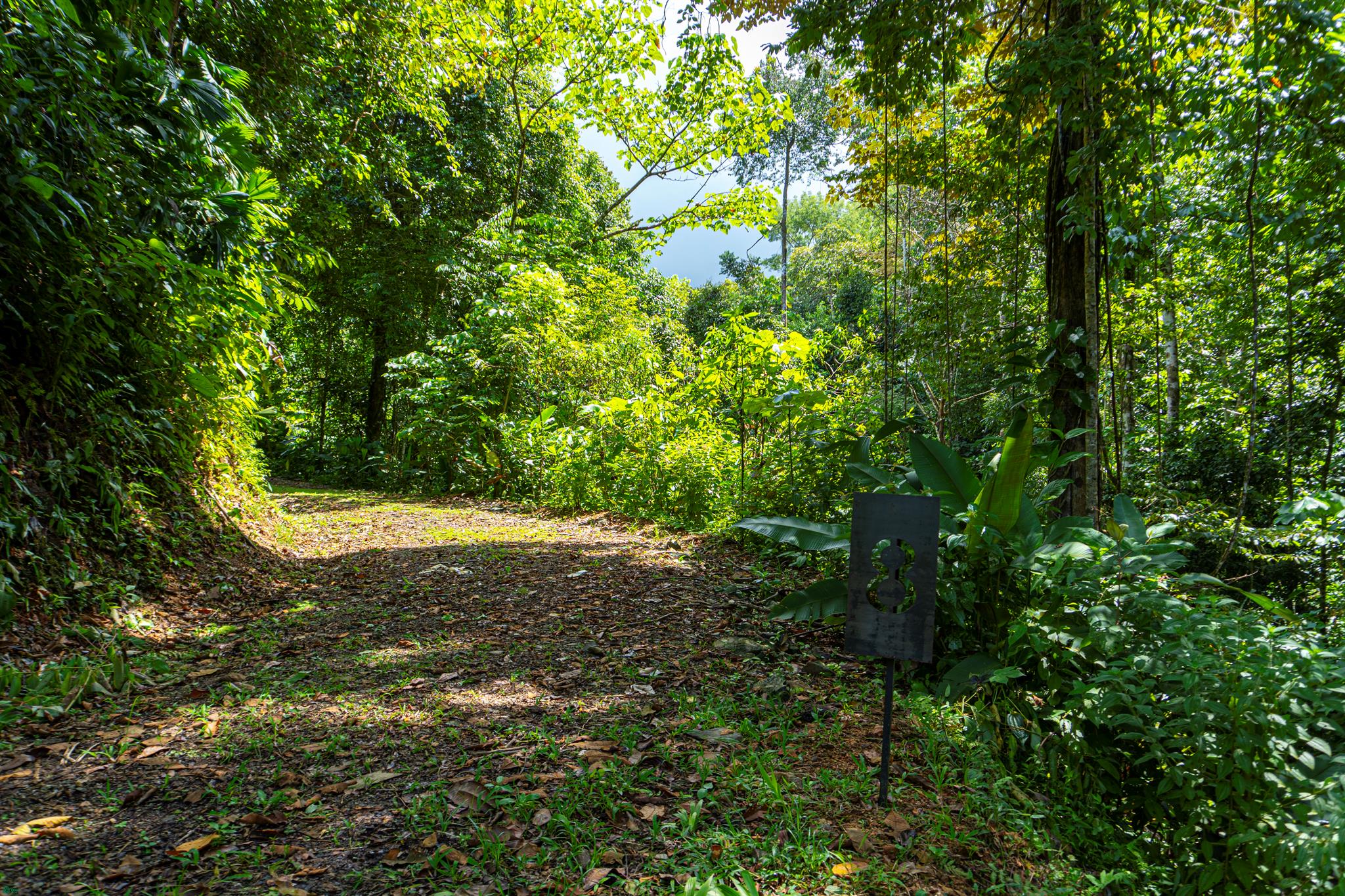 0 bed Land For Sale in Osa, Puntarenas - 1