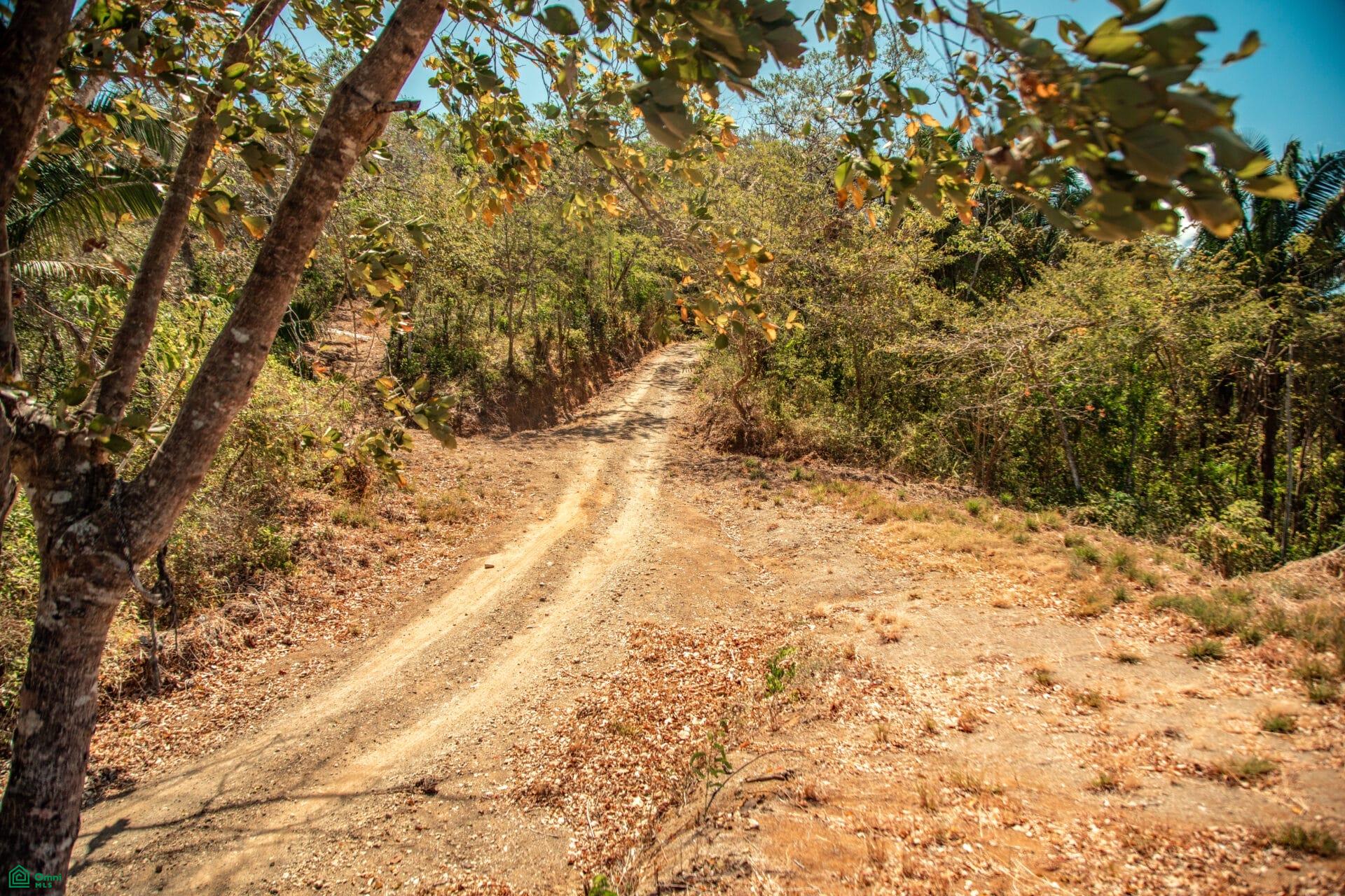  bed Land For Sale in Nosara, Guanacaste - 1