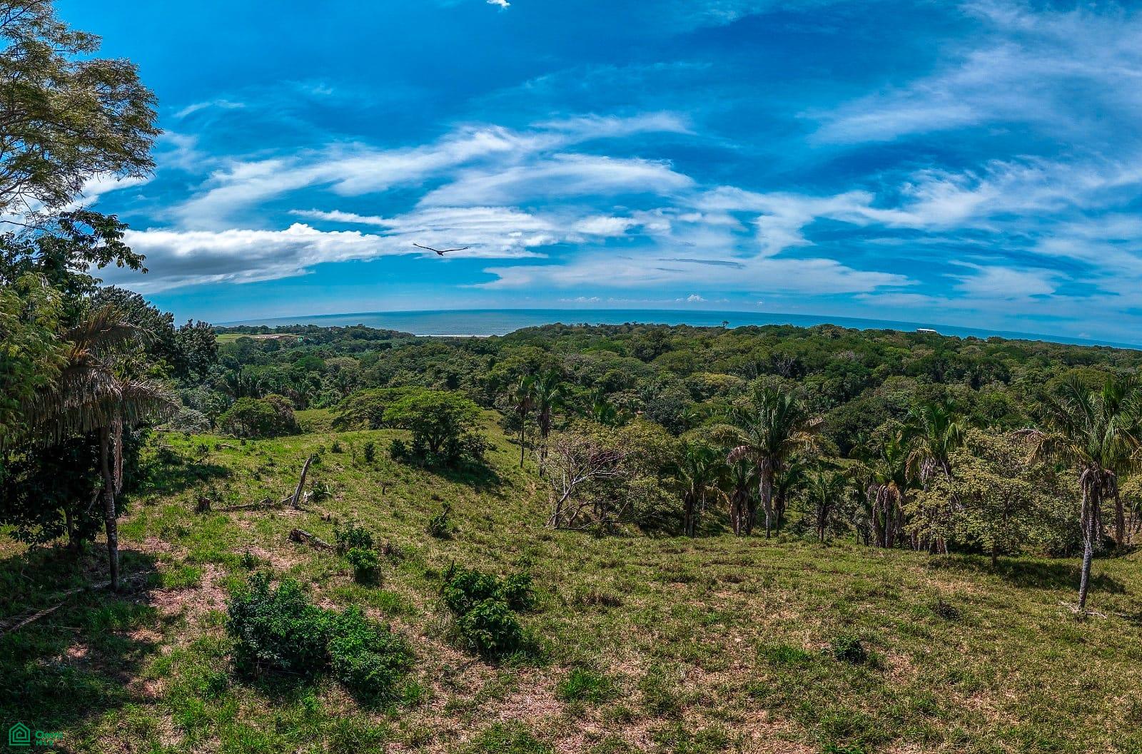  bed Land For Sale in Nicoya, Guanacaste - 1