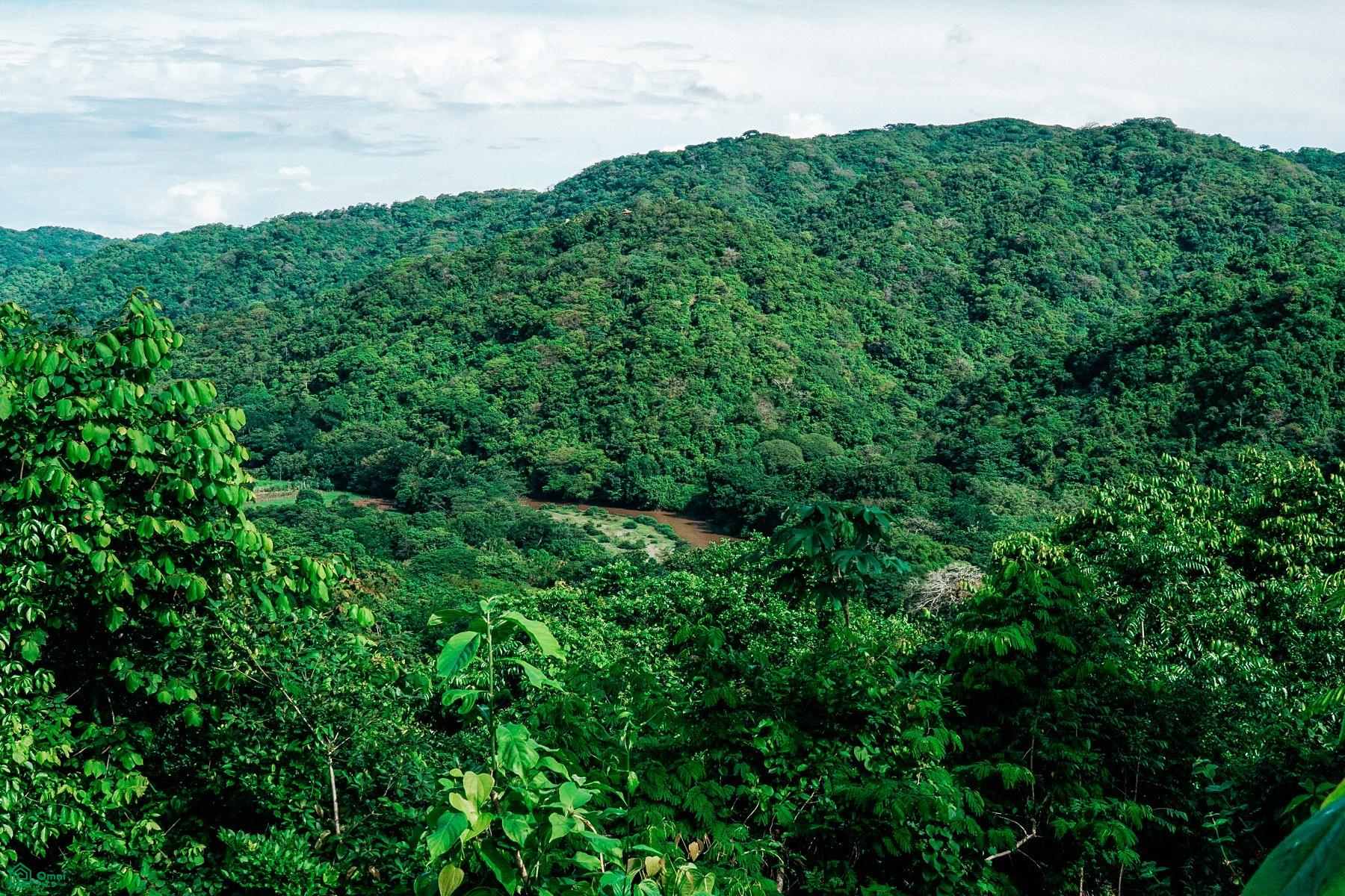  bed Land For Sale in Nosara, Guanacaste - 1