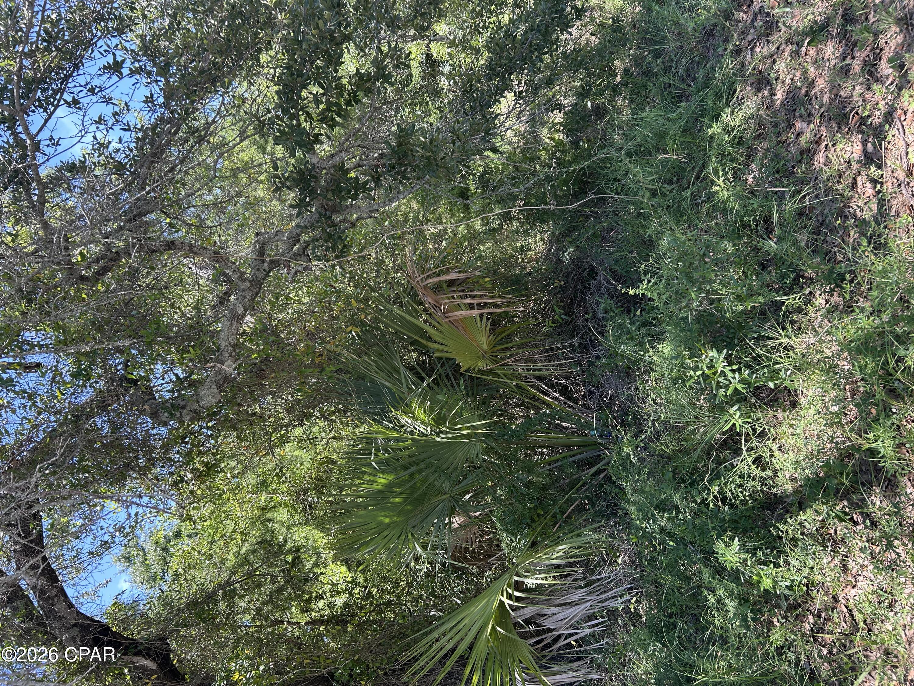 17 W Flower Avenue, Panama City, FL 32405