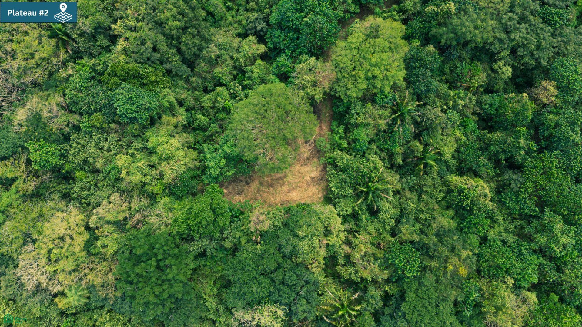  bed Land For Sale in Santa Cruz, Guanacaste - 1