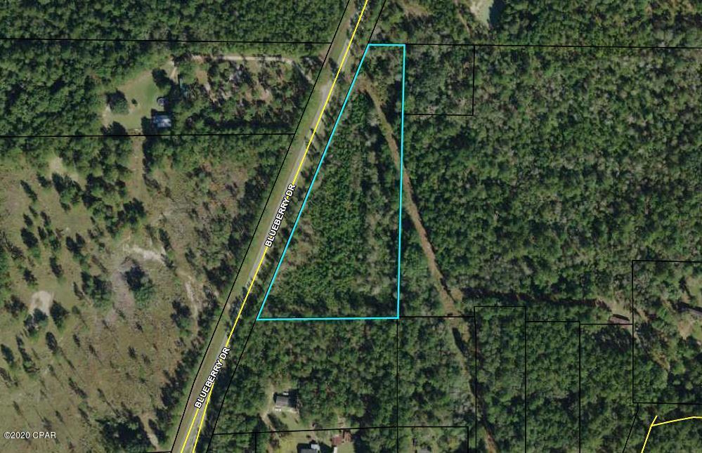 3rd image of 0 Blueberry Dr, Sneads, FL 32460 | MLS# 793038