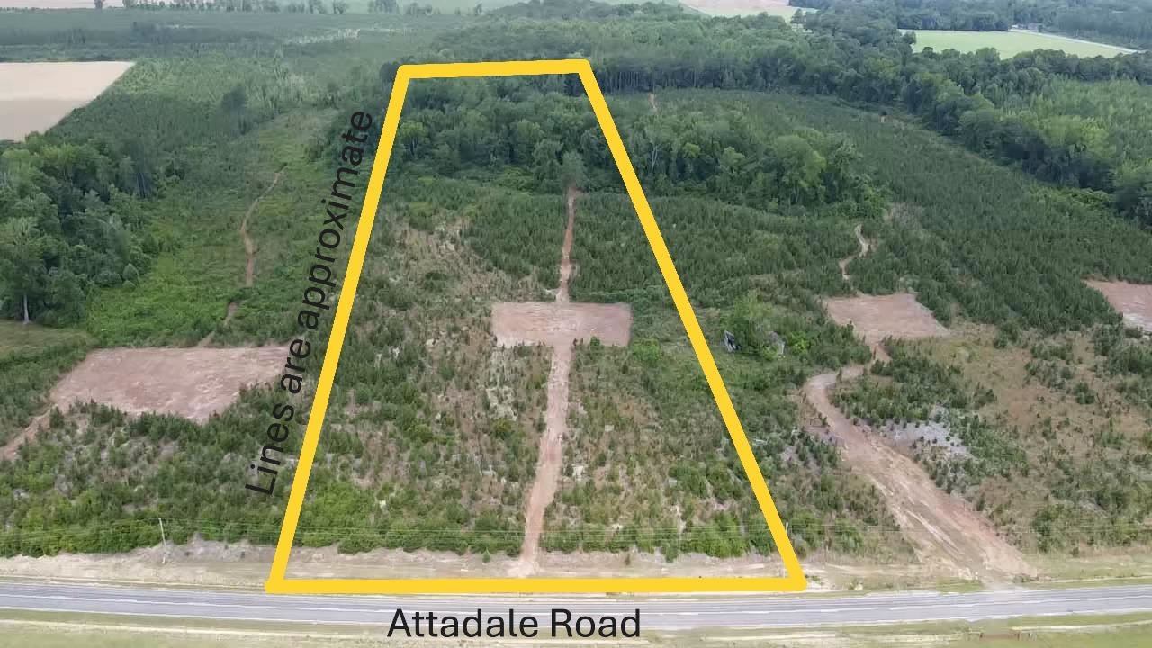 Photo 4 of Sale Pending at Lot 2 Attadale Rd, Blenheim, SC 29516 | MLS# 2618368 | Listing updated on 2026-09-15
