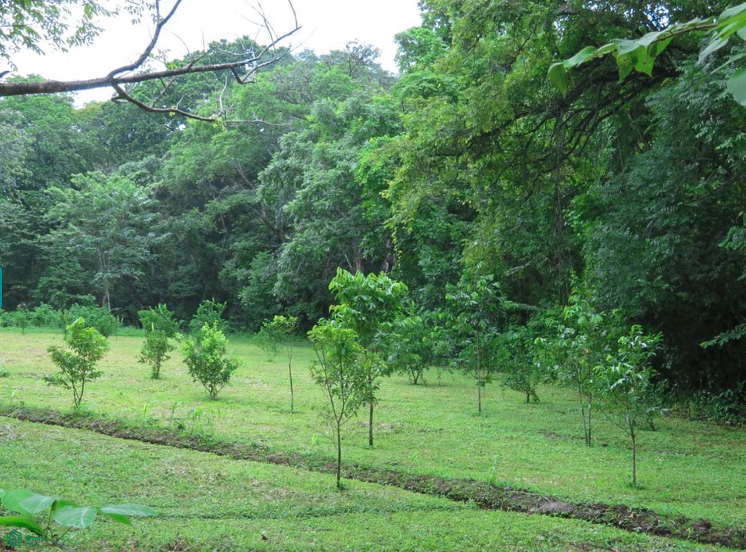  bed Land For Sale in Cuajiniquil, Guanacaste - 1